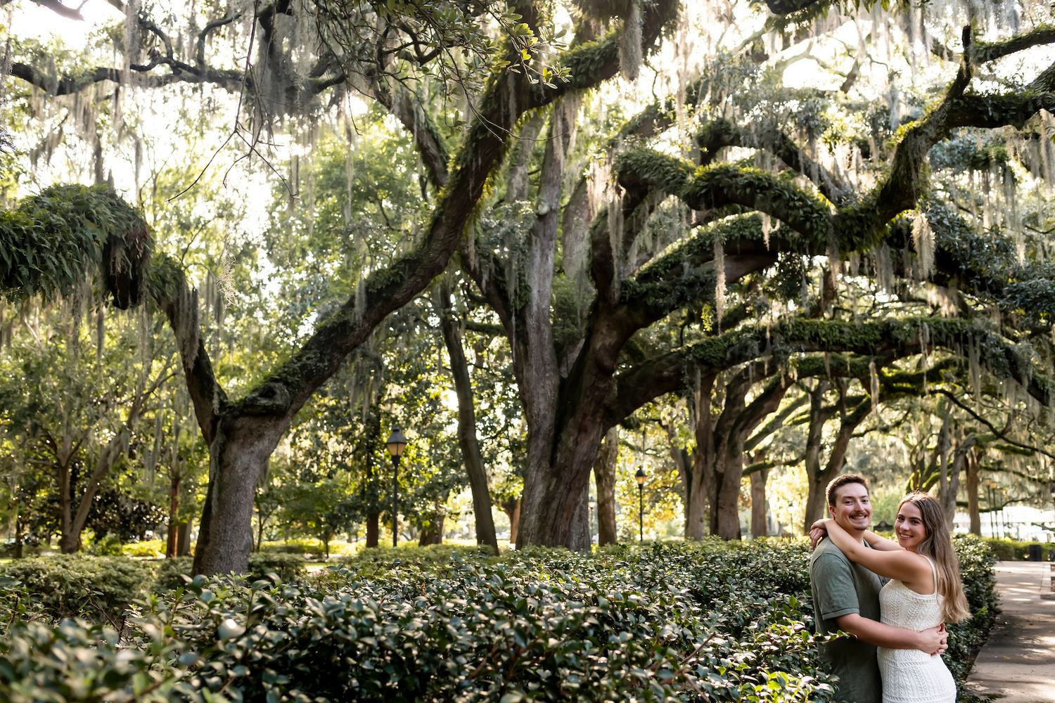 Spanish moss hangs from majestic live oak trees along a serene walkway in a tranquil Southern garden.