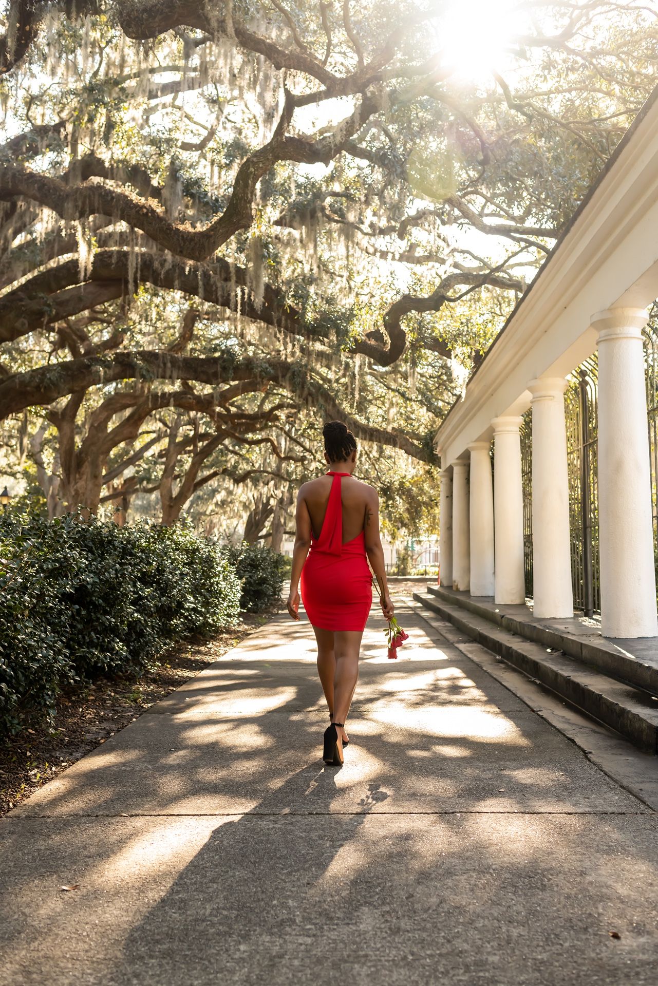 Person in red walks along a sun-dappled colonnade pathway with Spanish moss hanging from oak trees overhead.