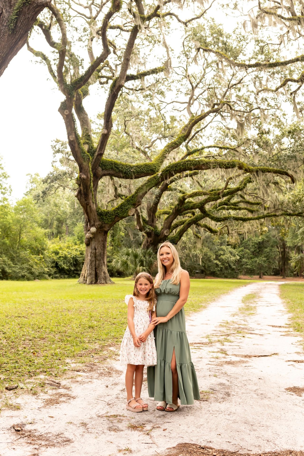 A dirt path winds through a mossy oak tree grove with long branches creating a natural archway in a serene park setting.