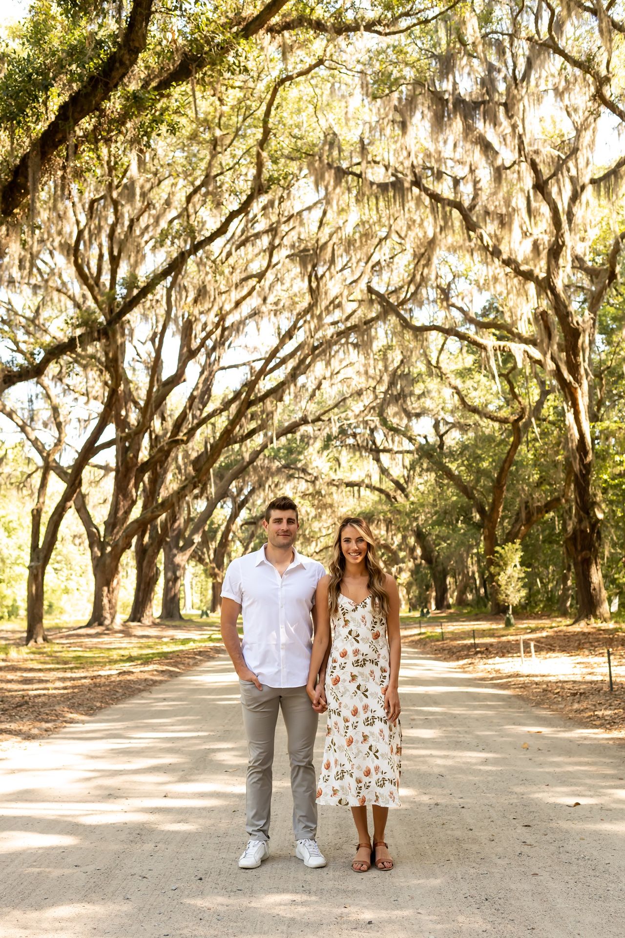 A romantic dirt path lined with majestic oak trees draped in Spanish moss creates a natural archway in warm sunlight.