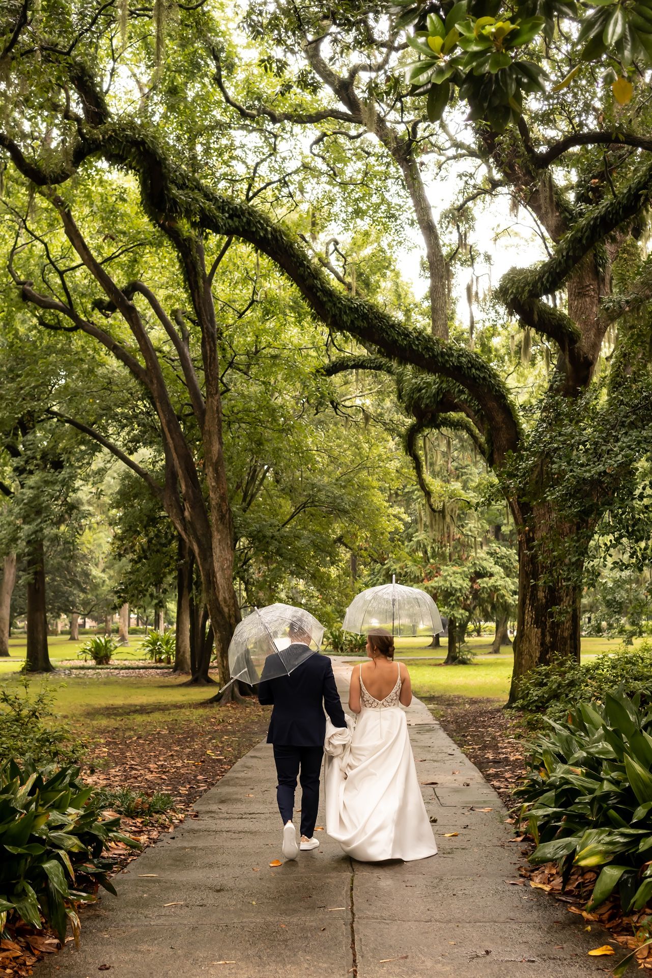 Tree-lined walkway in a lush garden setting with visitors strolling under a natural canopy of oak trees.