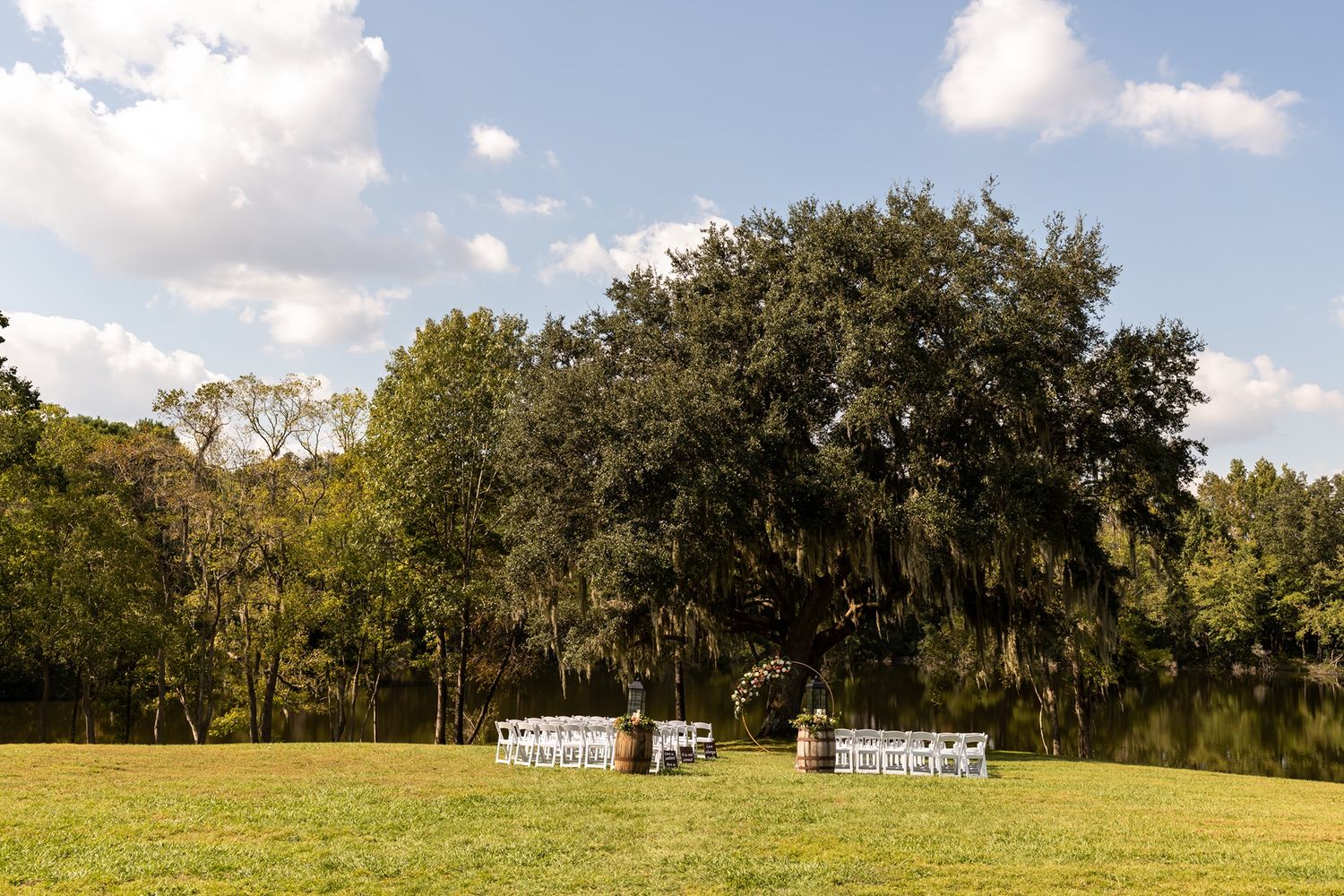 Beautiful rustic countryside landscape with tall oak trees and spanish moss under a bright blue sky.