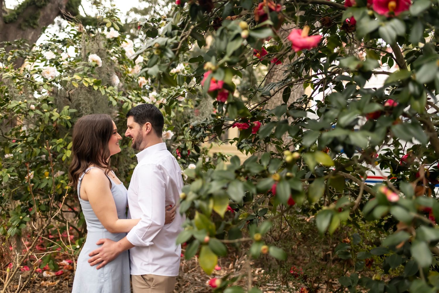 Romantic couple embraces in an apple orchard with ripe red fruit hanging from surrounding trees during autumn.
