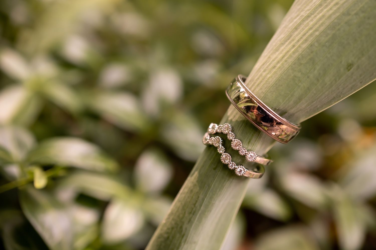 Close up of diamond wedding rings resting on a green leaf with blurred floral background.