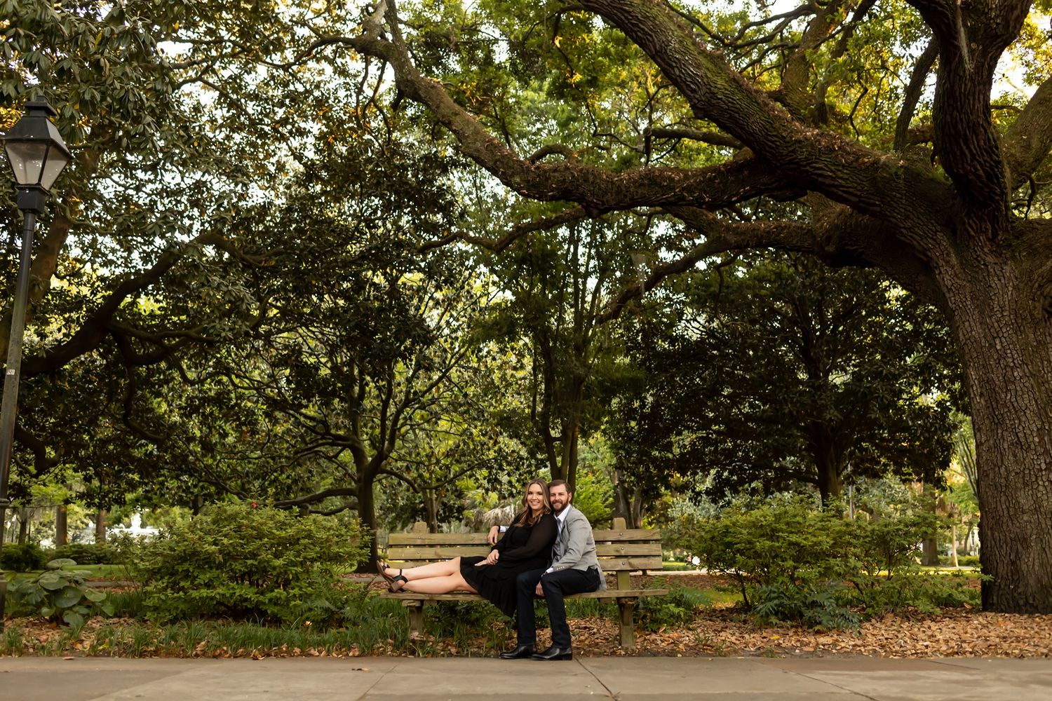 Two people share a romantic moment on a park bench beneath a large, sprawling oak tree.