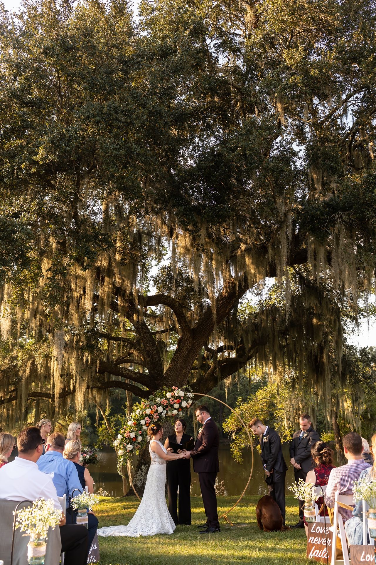 An outdoor wedding ceremony takes place under a majestic oak tree draped with Spanish moss at golden hour.