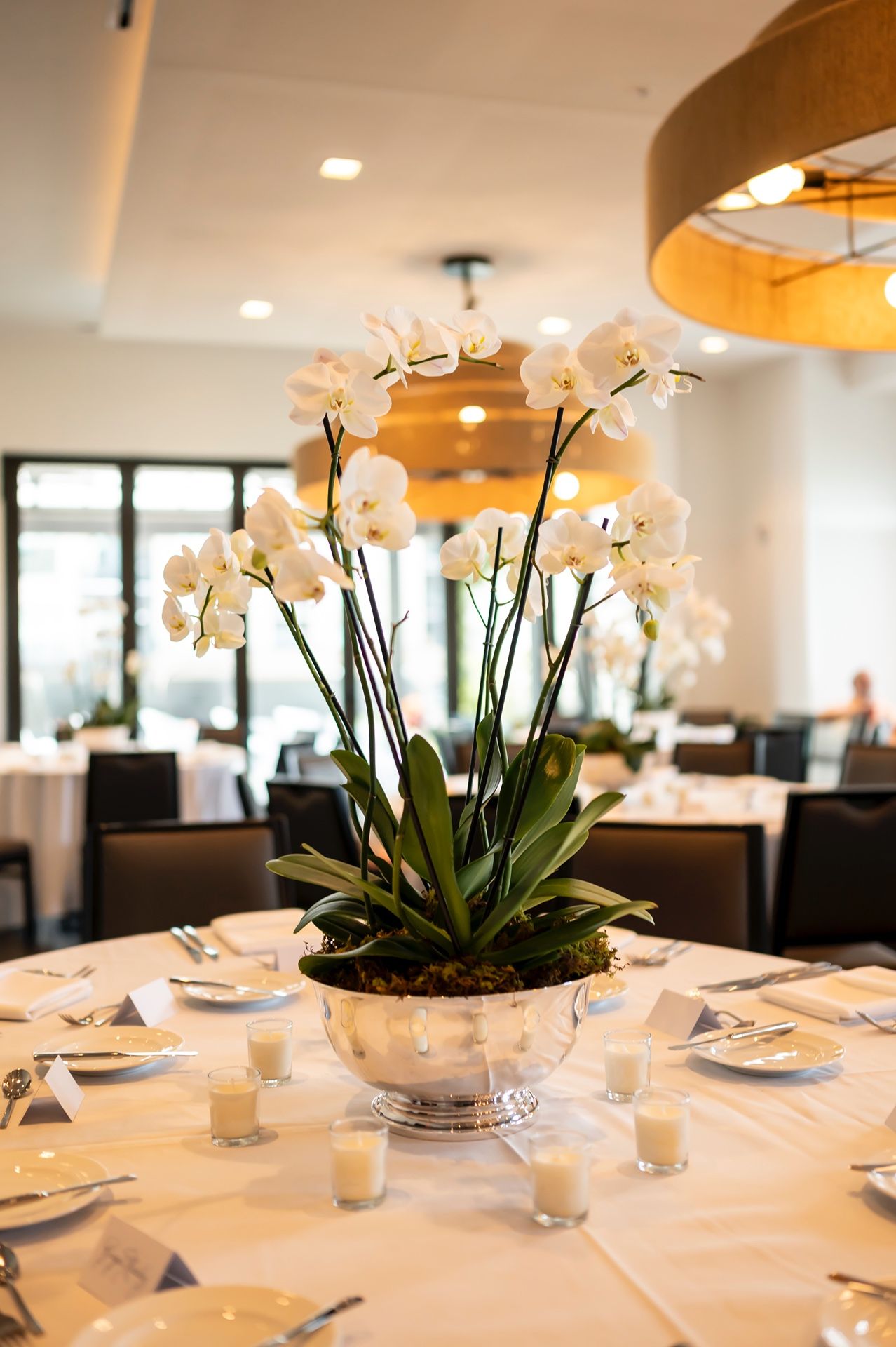 An elegant white orchid centerpiece in a silver bowl sits on a round table with cream linens.