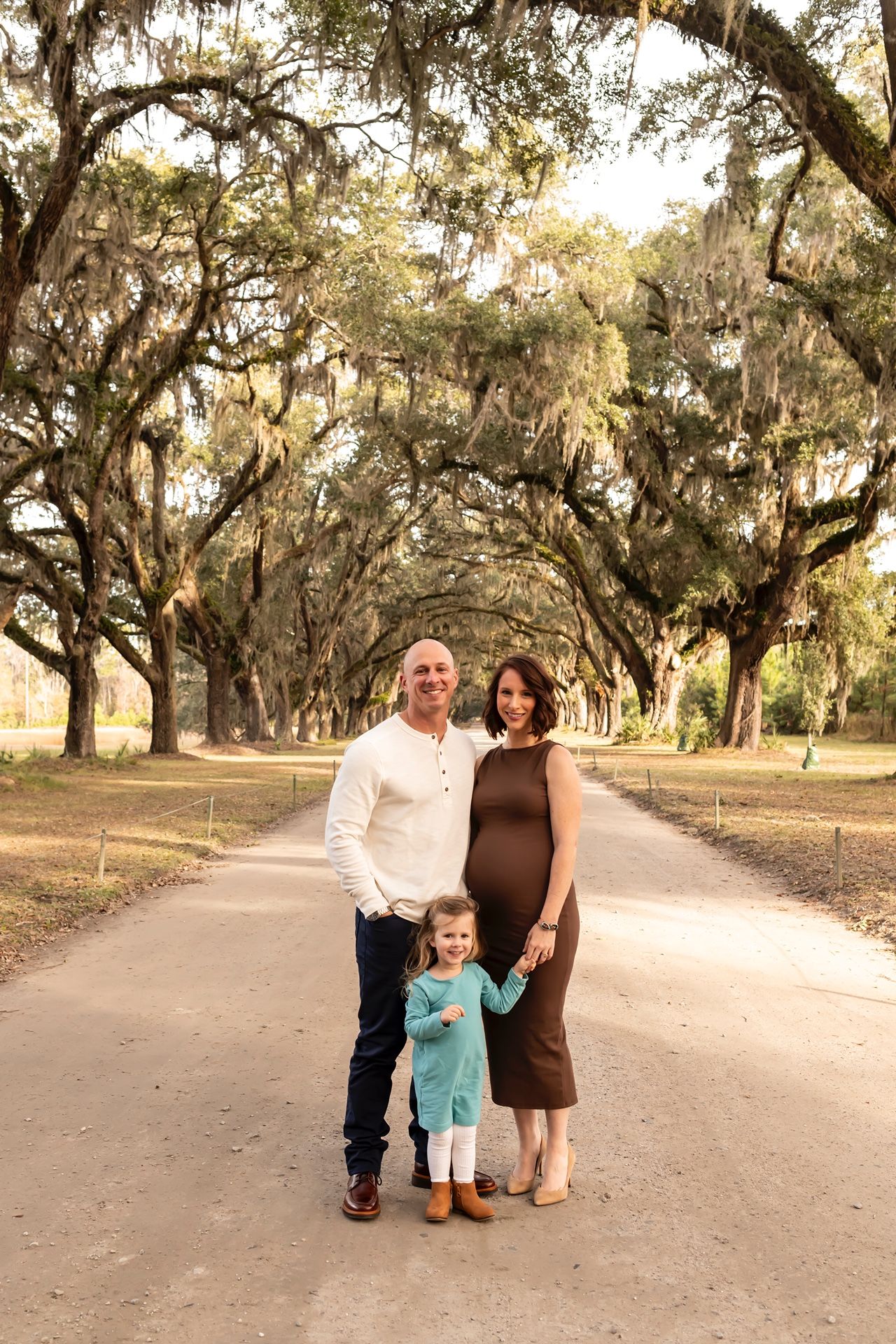 Beautiful tree-lined dirt road with Spanish moss hanging from oak trees creating a natural tunnel at sunset.