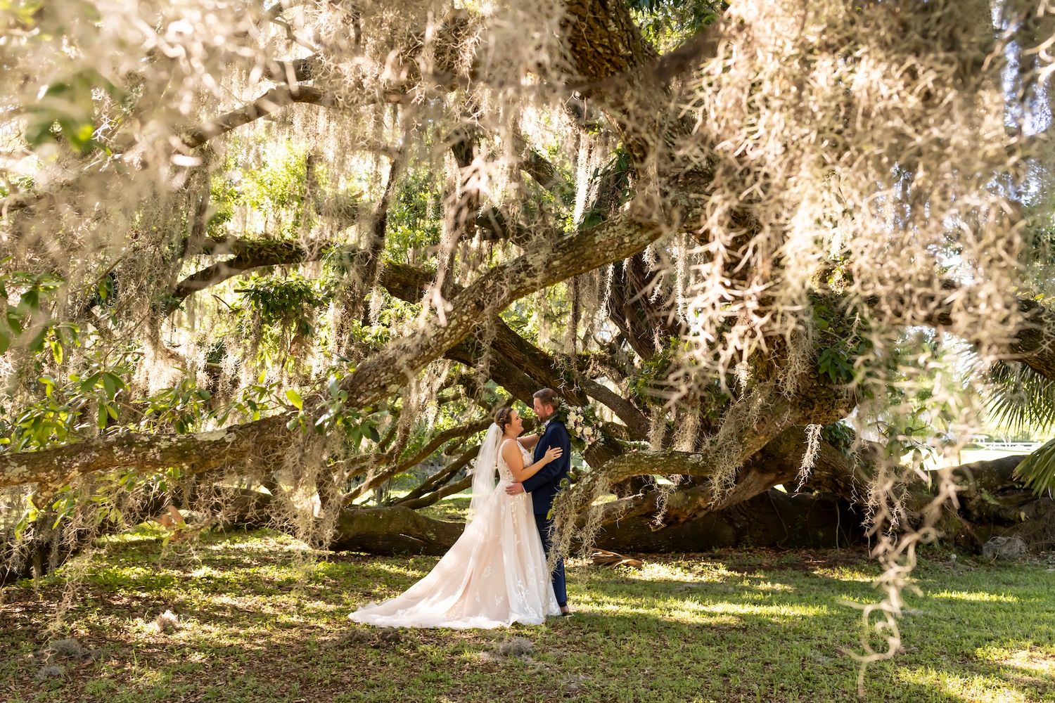 A romantic moment under Spanish moss draped trees in a lush garden setting with natural sunlight filtering through.