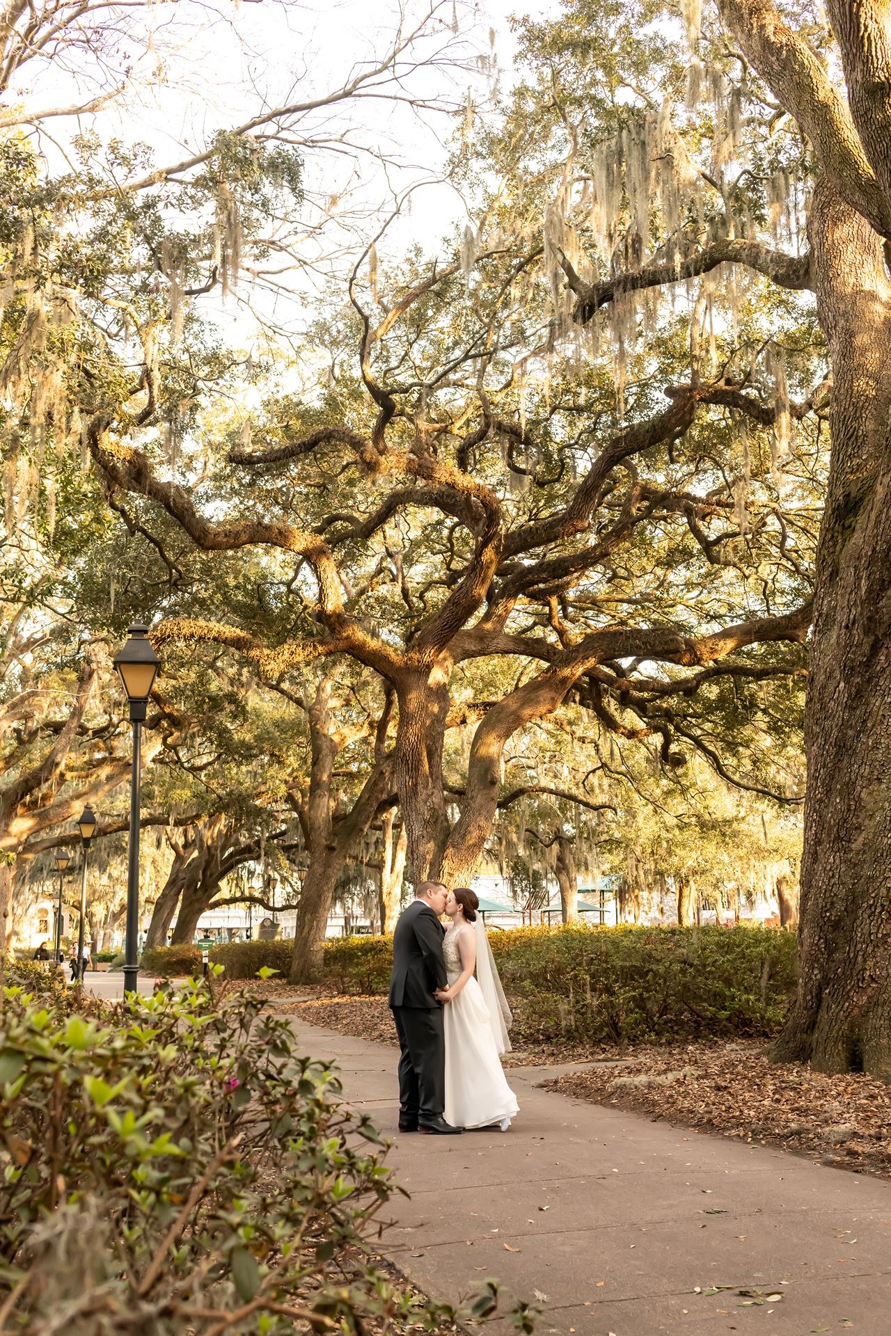 A romantic wedding ceremony takes place under towering oak trees draped in Spanish moss at a Southern park.