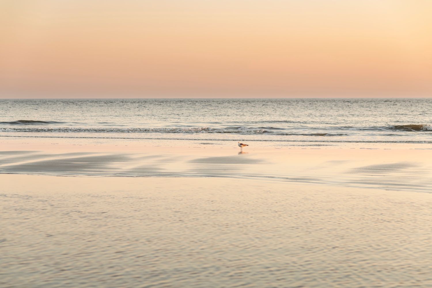 Tranquil beach scene at sunset with gentle waves washing onto sandy shore under warm orange sky.
