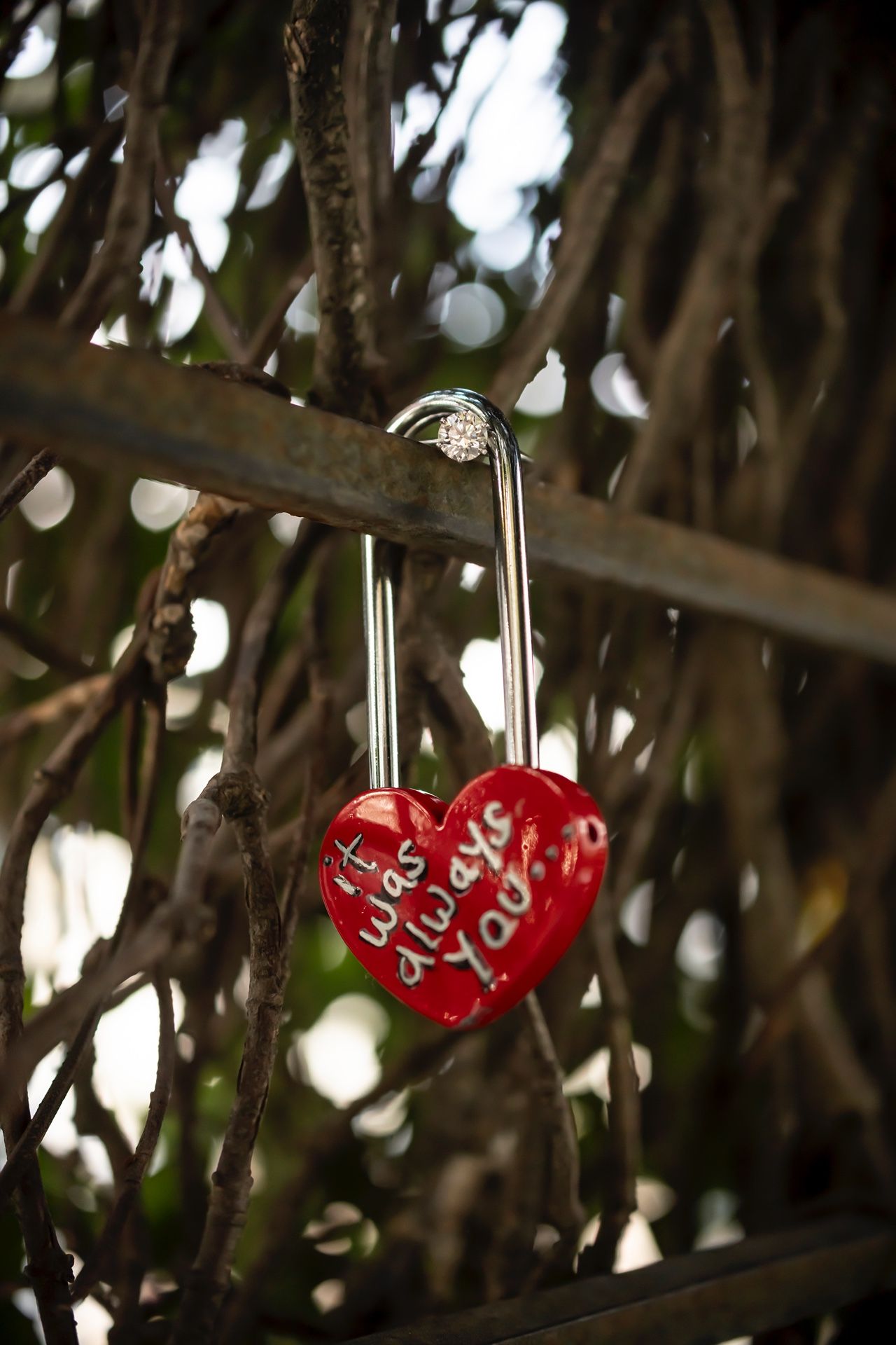 A red heart-shaped love lock hangs from a tree branch with blurred bokeh background.