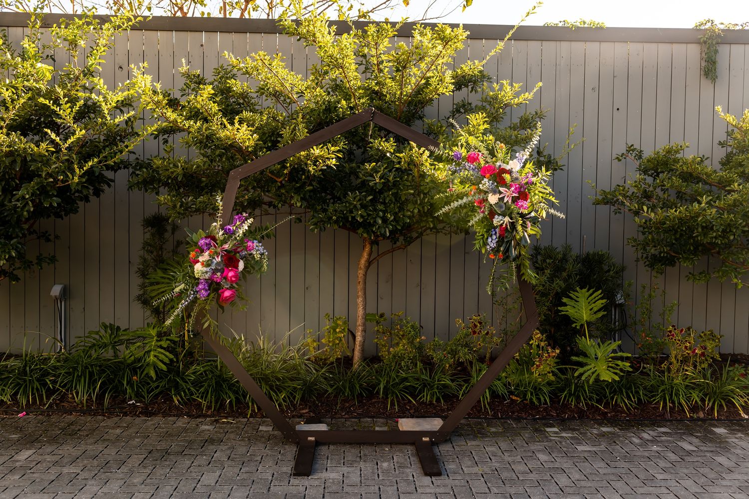 Vibrant pink orchids cascade down a hanging branch against a gray fence with tropical greenery in the background.