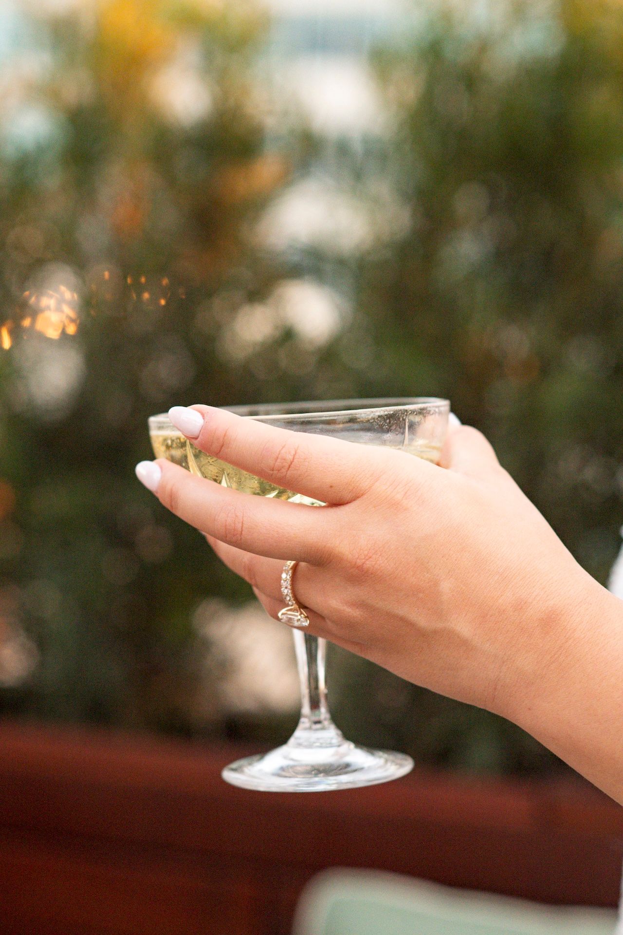 Hand holding a delicate champagne coupe glass against a blurred natural background in warm lighting.