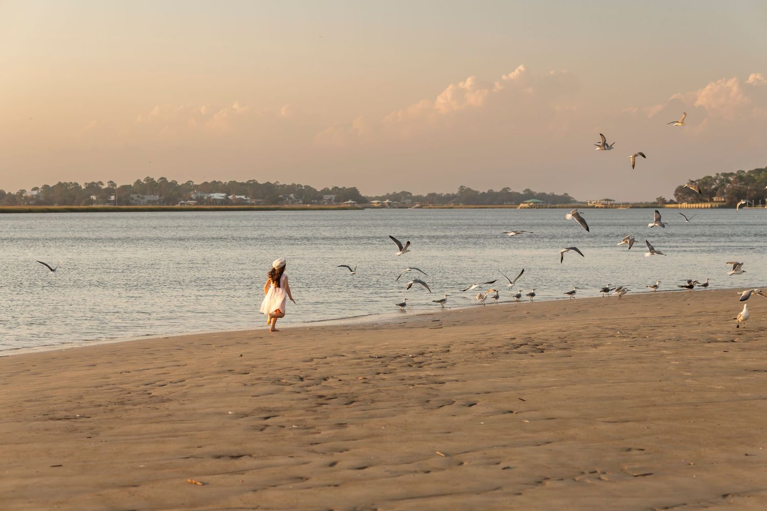 Tranquil beach scene at sunset with seabirds flying over calm waters and sandy shore.