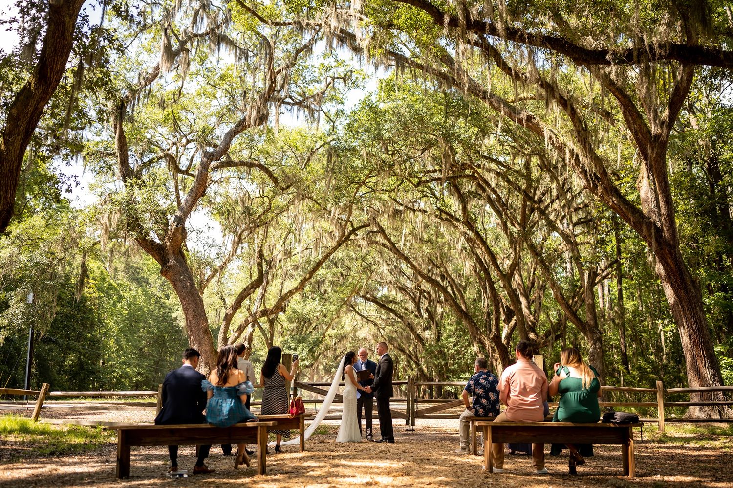 Guests seated on benches beneath a canopy of moss-draped oak trees during an outdoor ceremony in a natural setting.