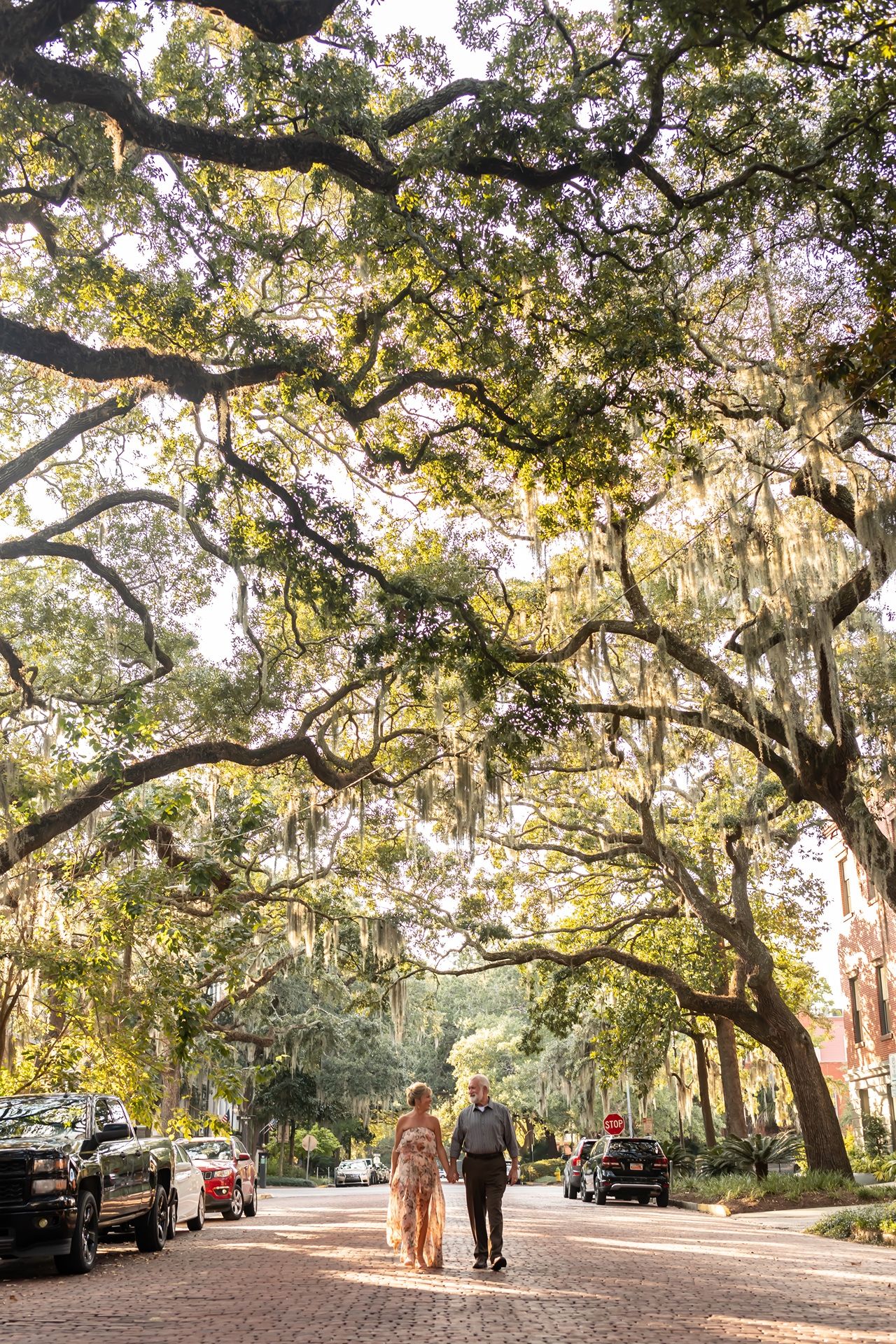 Spanish moss hangs from majestic oak trees over a picturesque street in Savannah, Georgia with cars parked along the side.