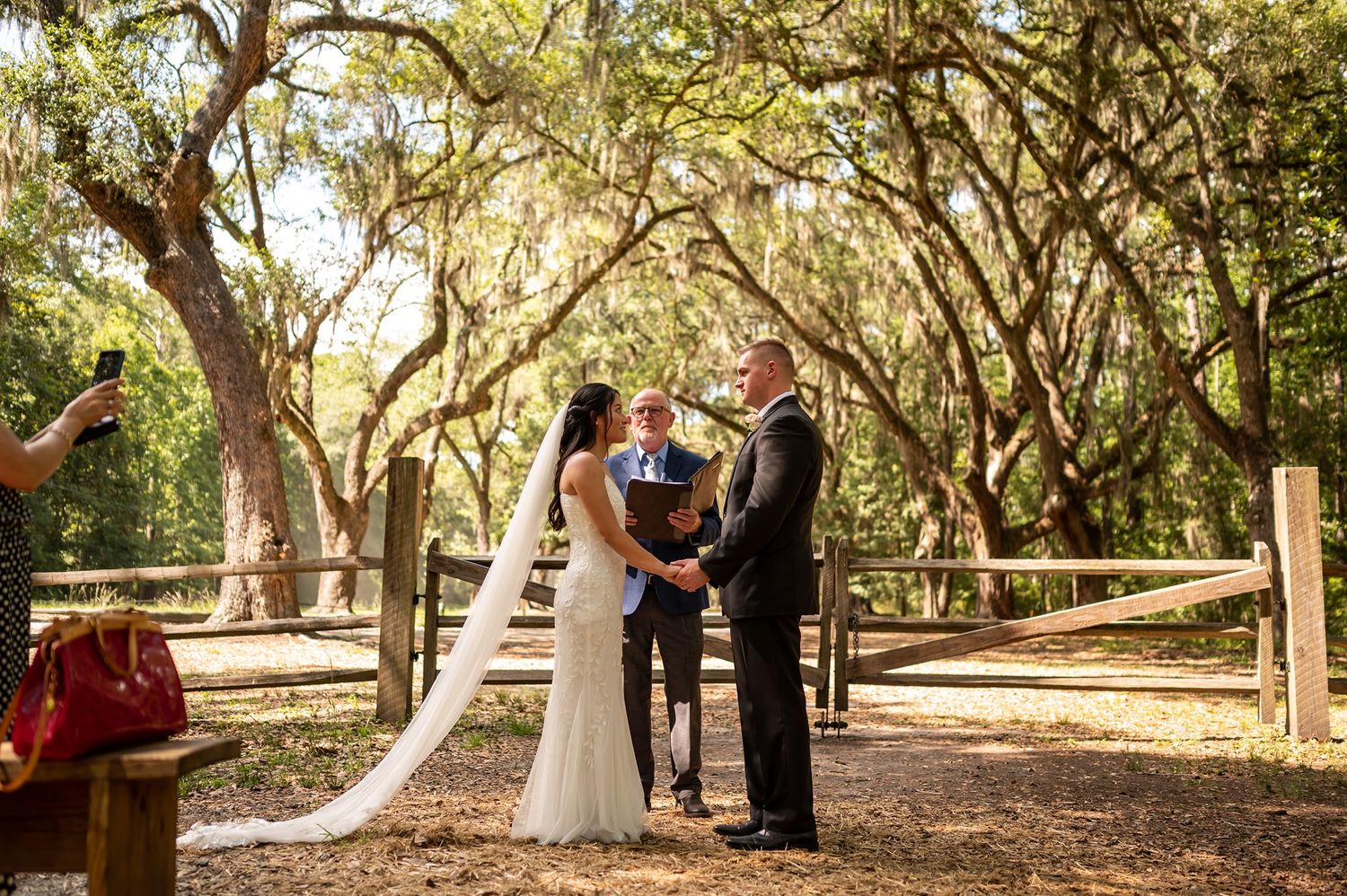 A wedding ceremony takes place under moss-draped oak trees with natural sunlight filtering through.