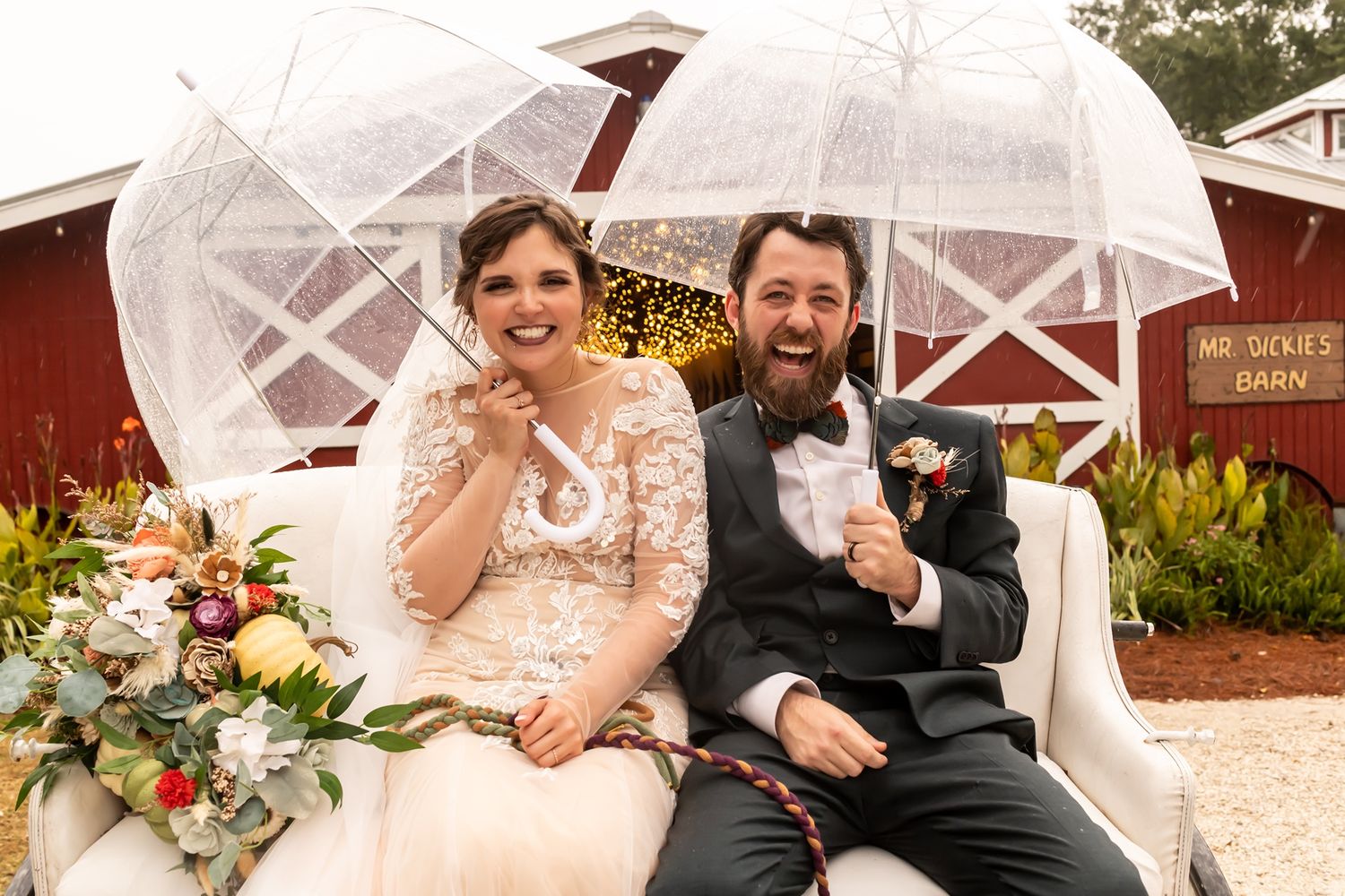 A happy couple sits together under clear umbrellas by a red barn during their rustic farm wedding celebration.