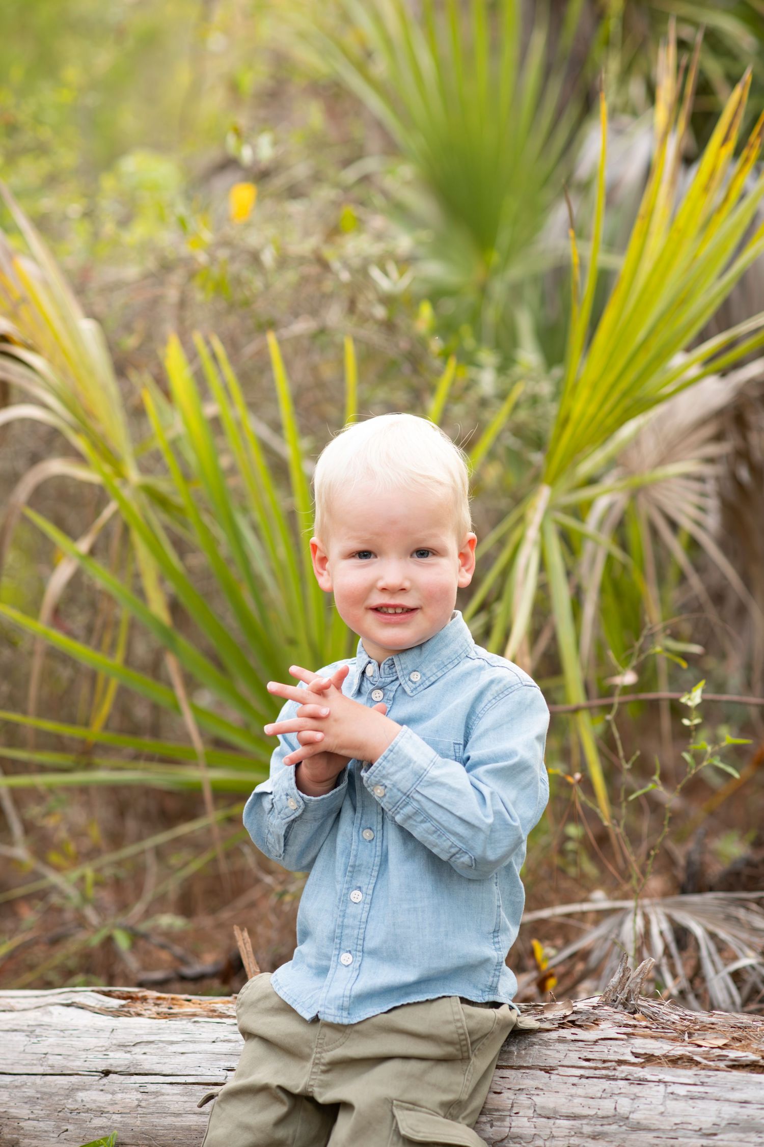 Adorable blonde toddler boy in blue chambray shirt sitting on log with tropical palm plants in background.