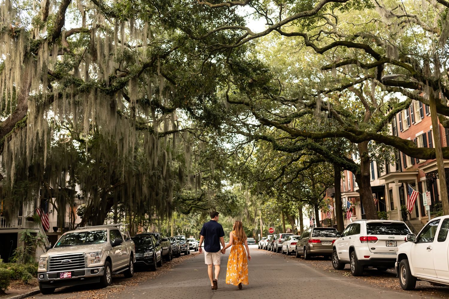 Spanish moss hangs from towering oak trees lining a charming historic street in Savannah, Georgia.
