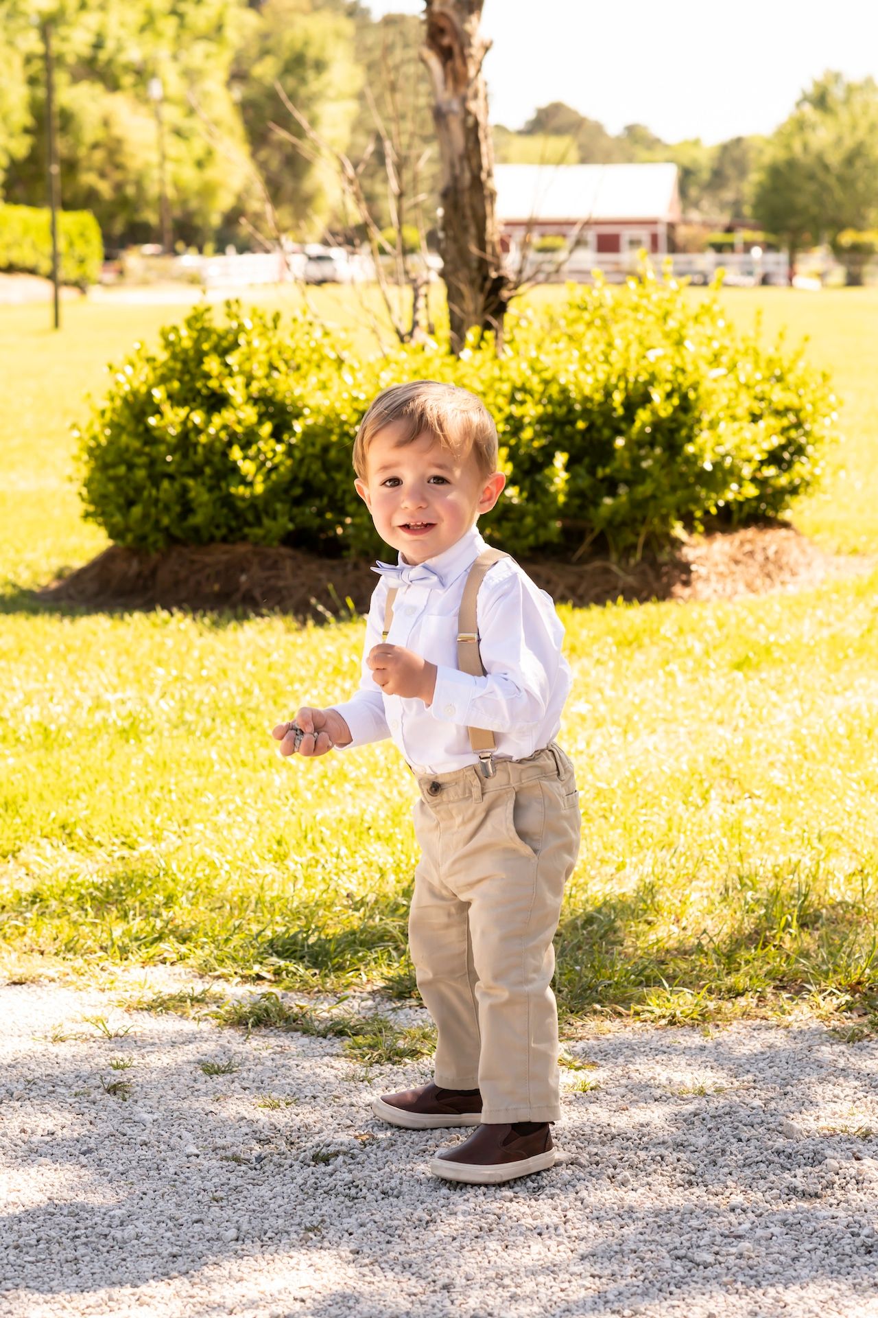 A small child in dress clothes with khakis and suspenders stands on a gravel path near yellow flowering bushes on a sunny day.