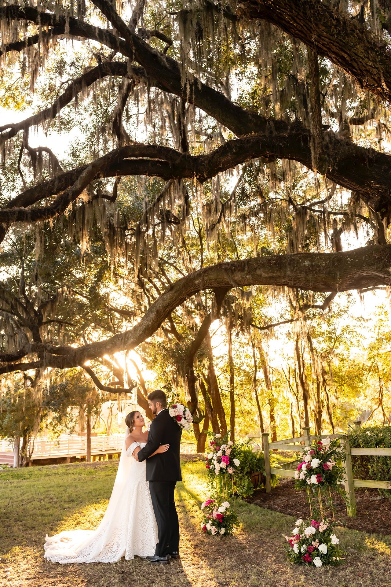 Beautiful evening wedding photo under a majestic Spanish moss-draped oak tree with floral arrangements at sunset.