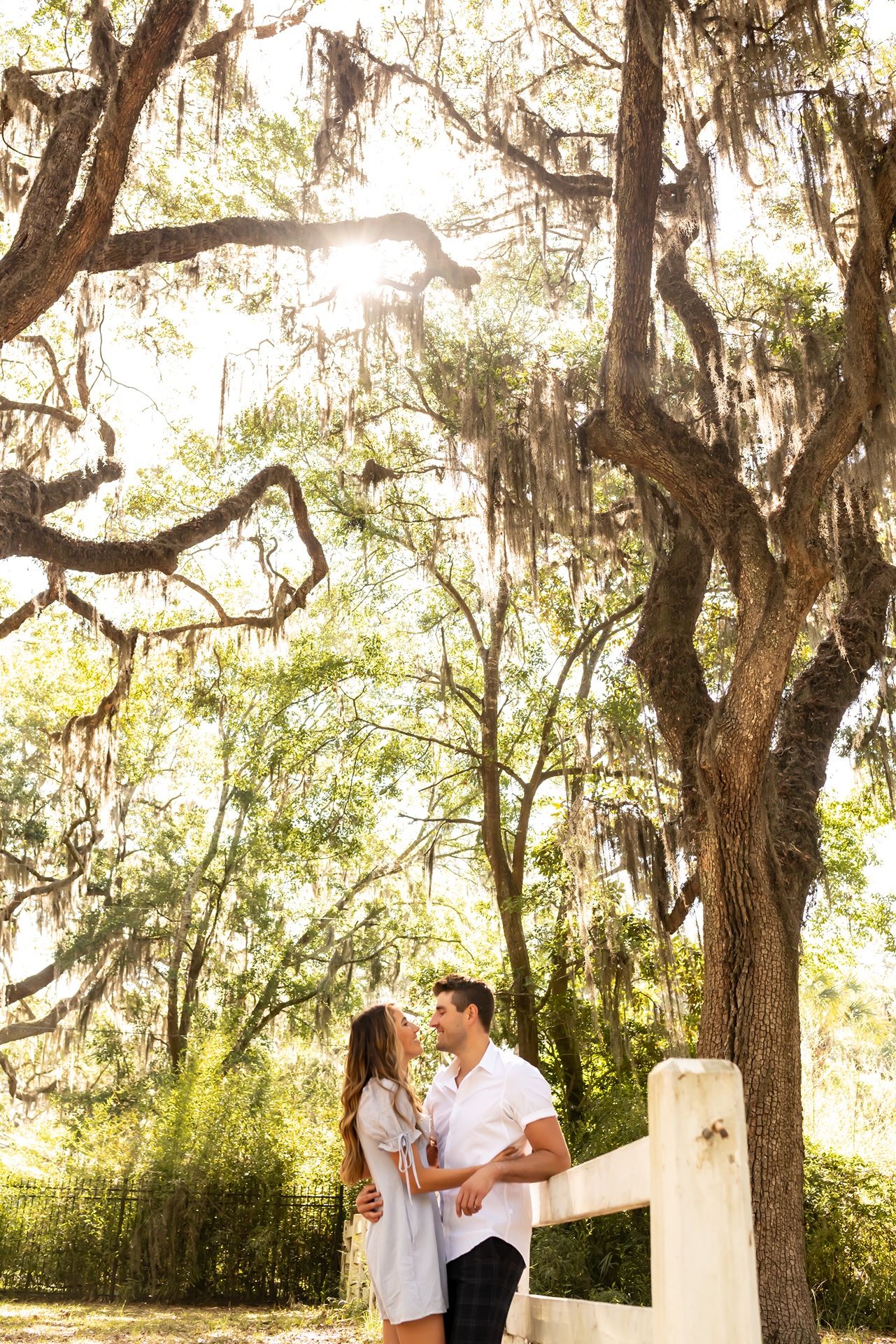 Couple embraces under spanish moss draped oak trees as golden sunlight filters through the branches.