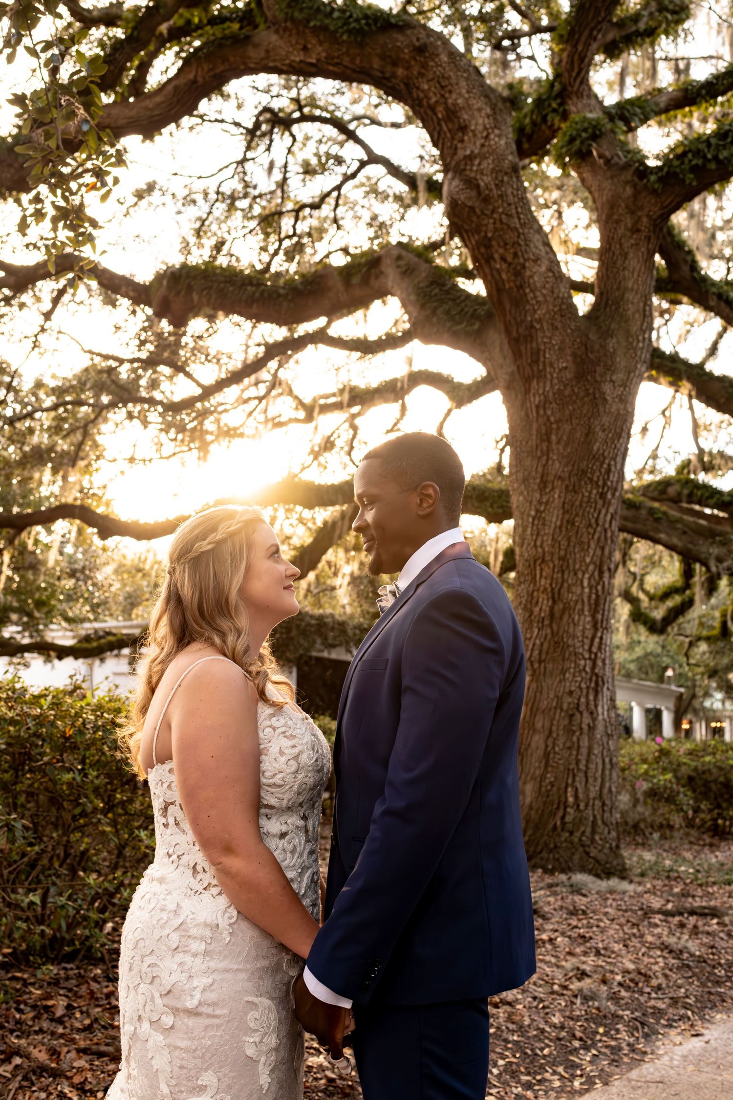 A couple shares an intimate moment under a large oak tree at sunset, with golden light filtering through the branches.