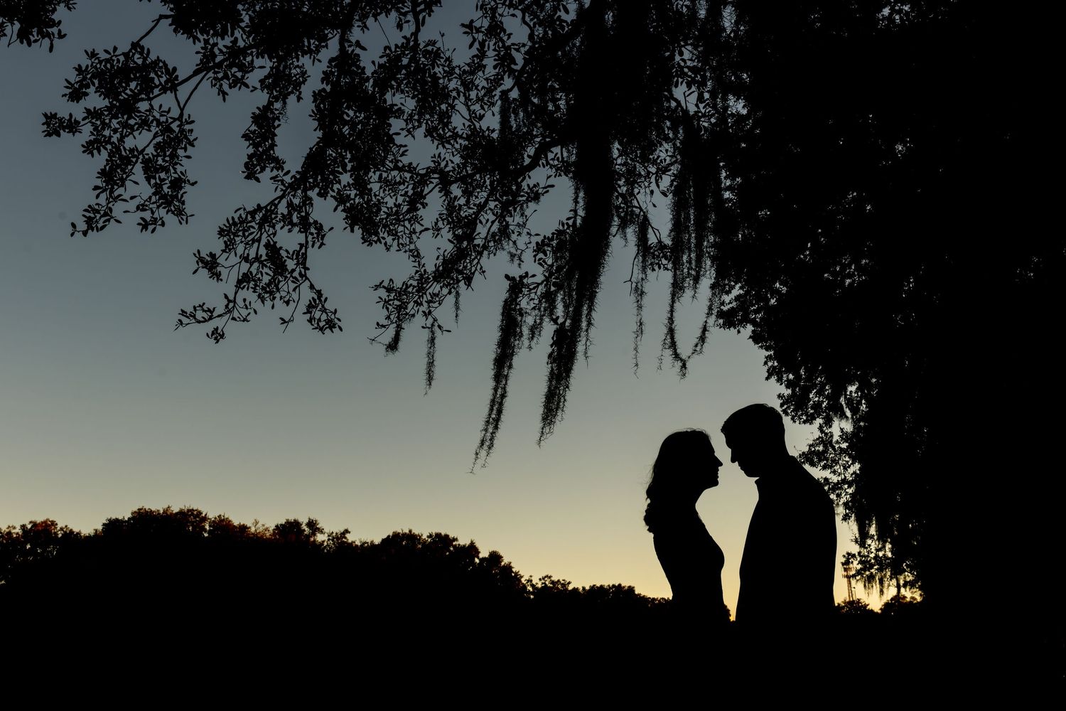 Silhouettes of a romantic couple standing under Spanish moss at sunset against a dusky sky.