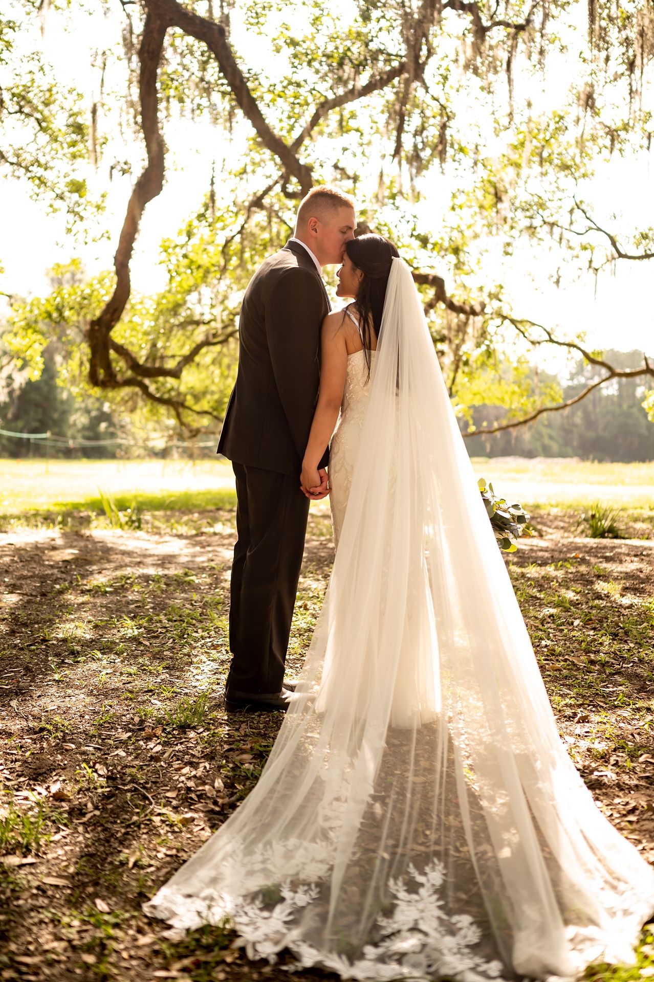 A romantic wedding portrait under moss-covered trees with a flowing lace veil trailing behind the couple.