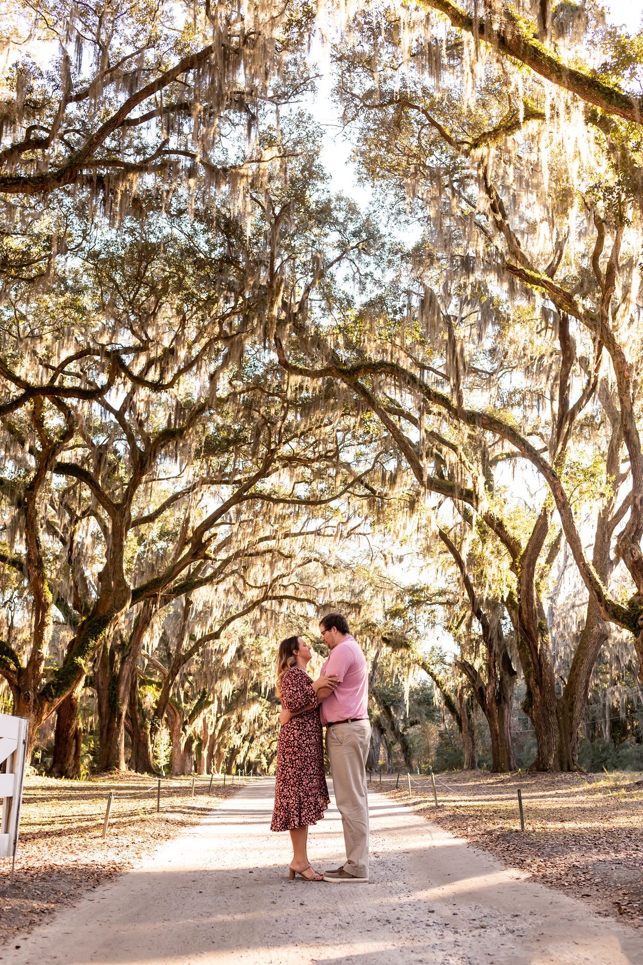 A couple embraces beneath majestic Spanish moss-draped oak trees on a path at sunset.