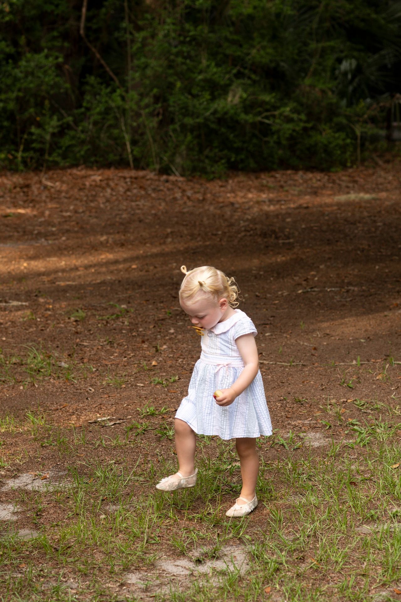Toddler girl in white dress walking on dirt path surrounded by green trees and grass.