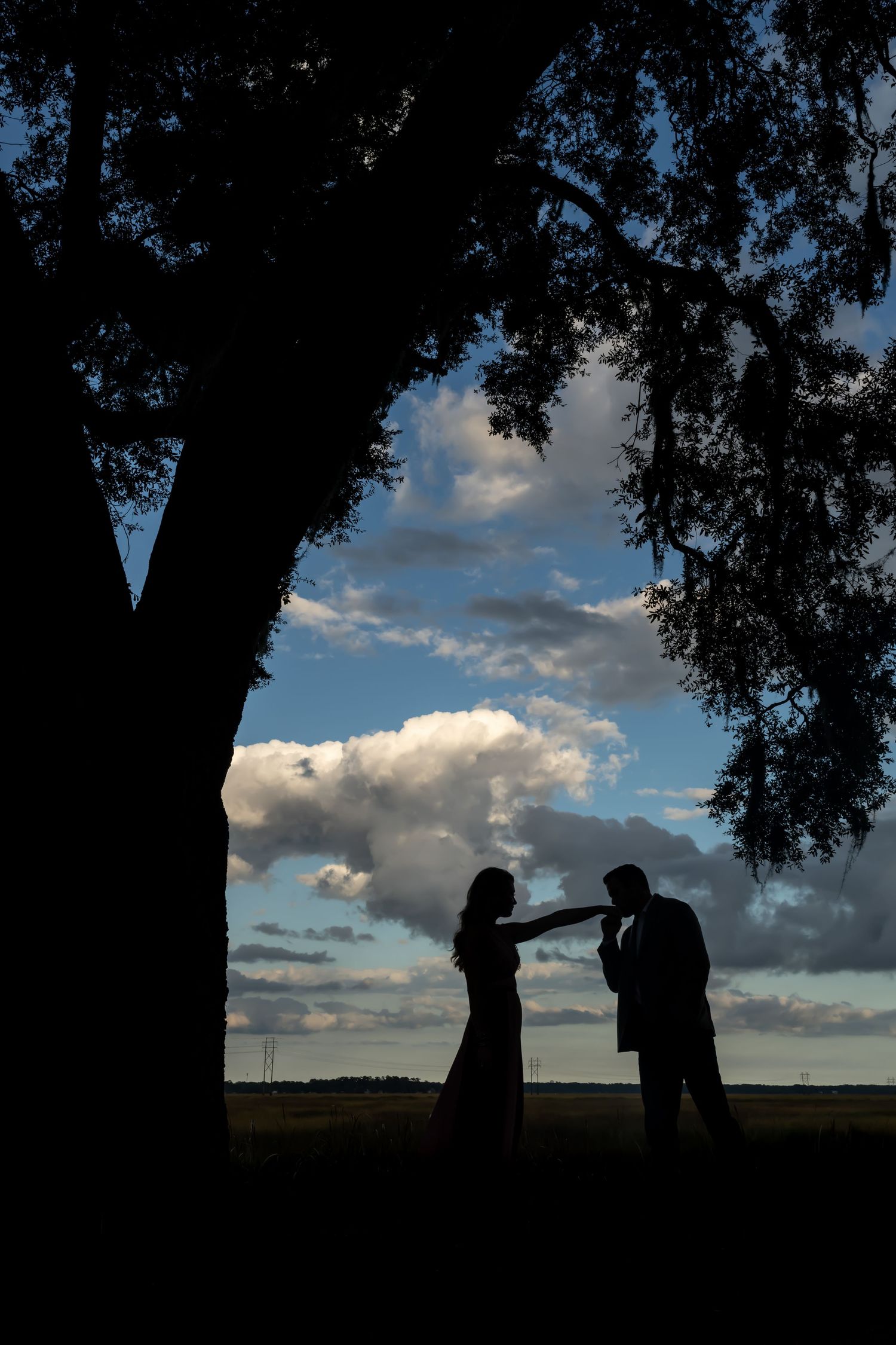 Silhouetted figures stand against a dramatic cloudy sunset sky with dark tree branches framing the scene.