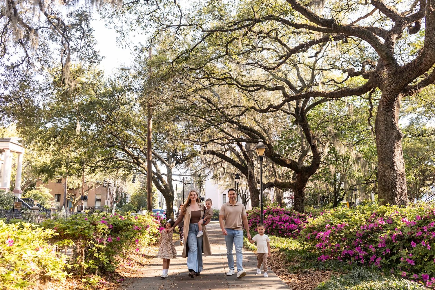 A scenic tree-lined walkway with blooming azalea bushes and dappled sunlight filtering through the branches.