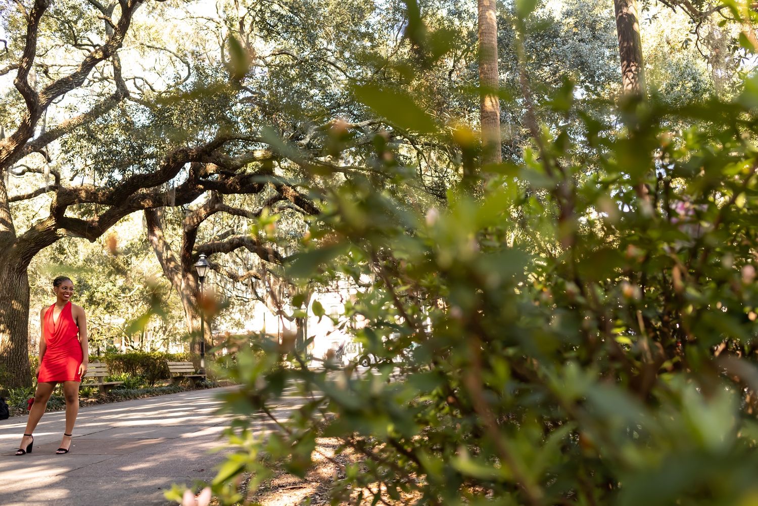 Walking path meandering through a sun-dappled forest with overhanging oak trees and filtered sunlight.