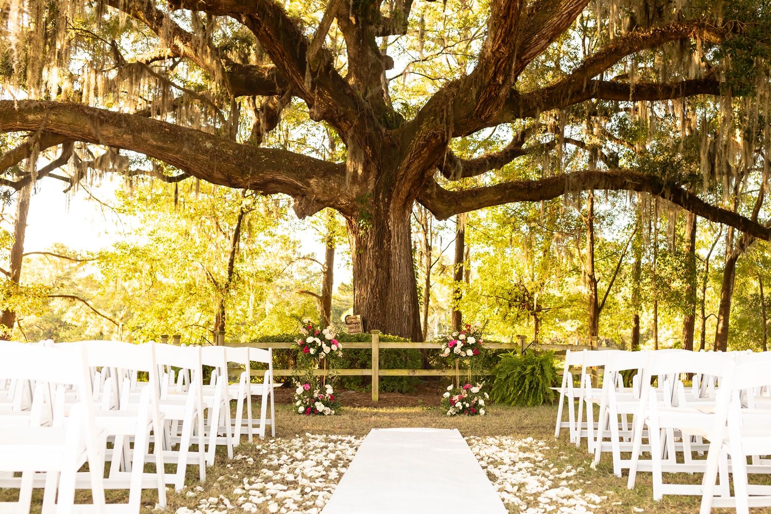 White folding chairs arranged for an outdoor wedding ceremony under a majestic oak tree draped with Spanish moss.