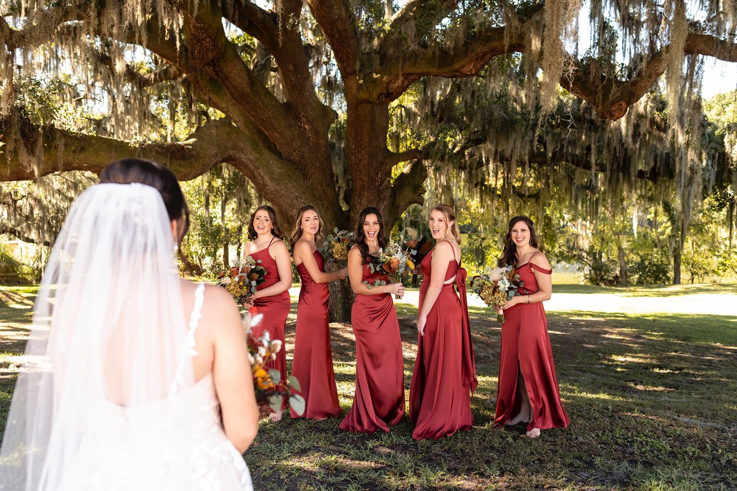 A bride faces bridesmaids wearing burgundy dresses under a large oak tree draped with Spanish moss in a sunlit garden.