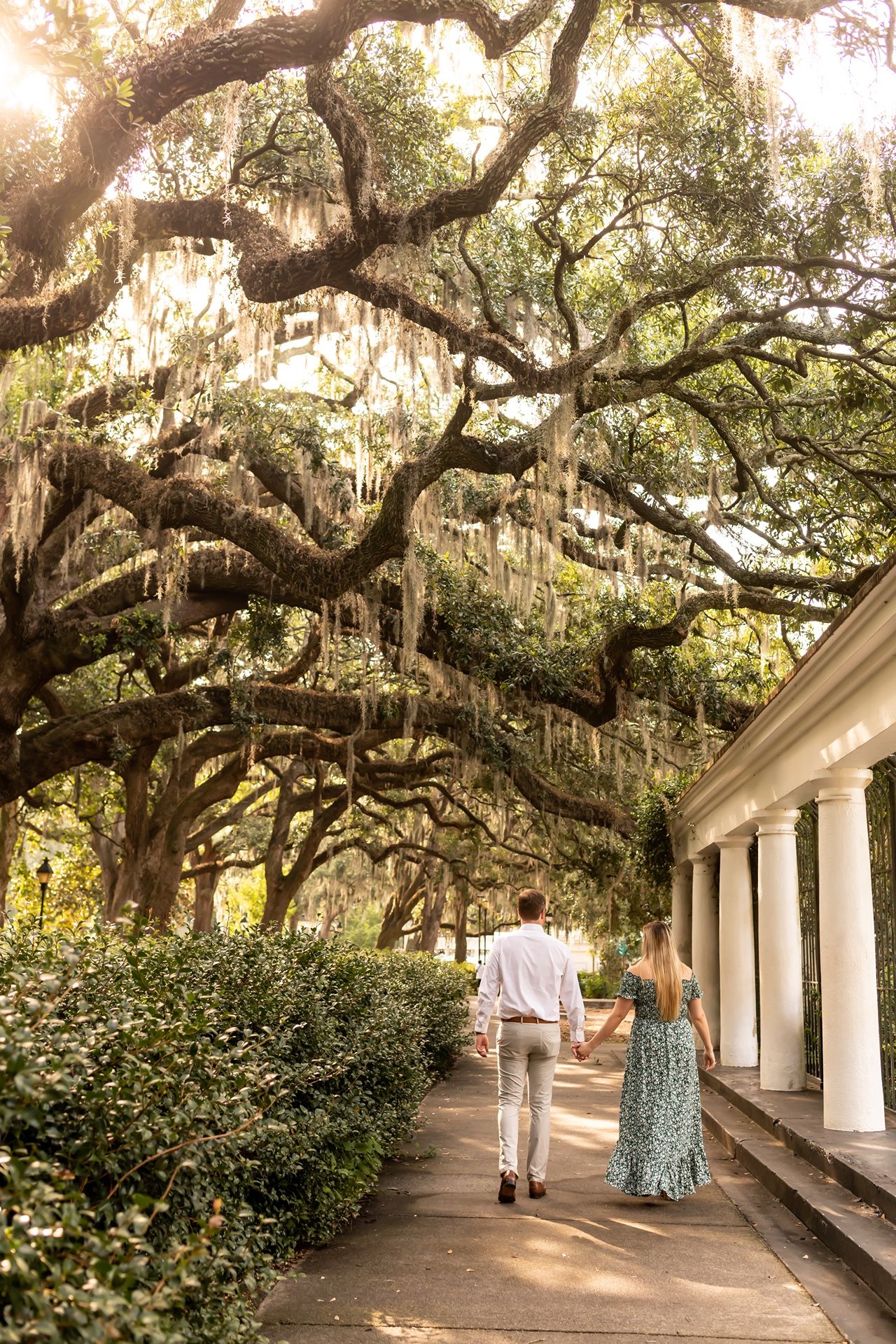 Spanish moss drapes over live oak trees along a historic colonnade walkway during sunset.