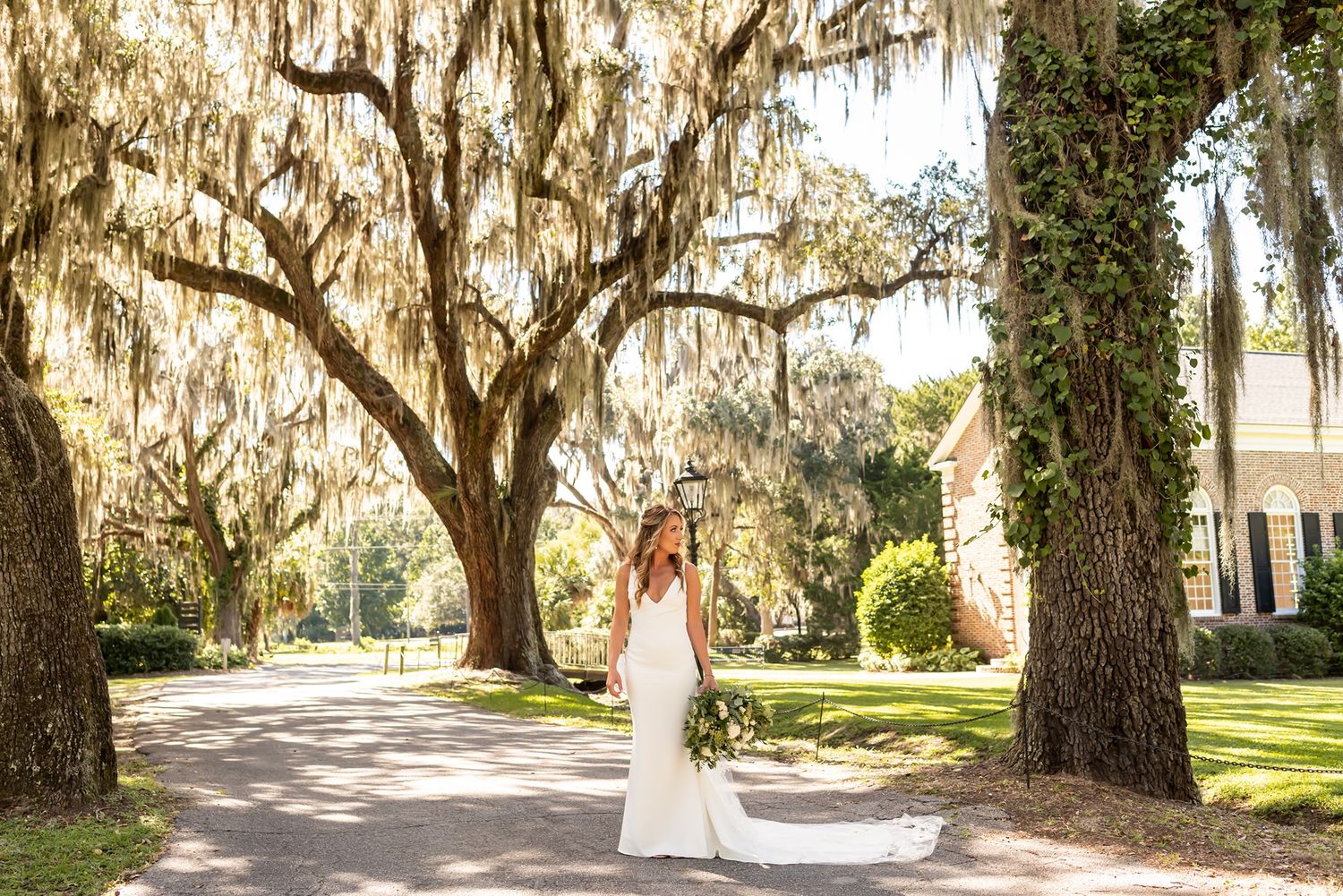 Oak trees with hanging Spanish moss create a romantic pathway lined by historic buildings at Boone Hall Plantation.