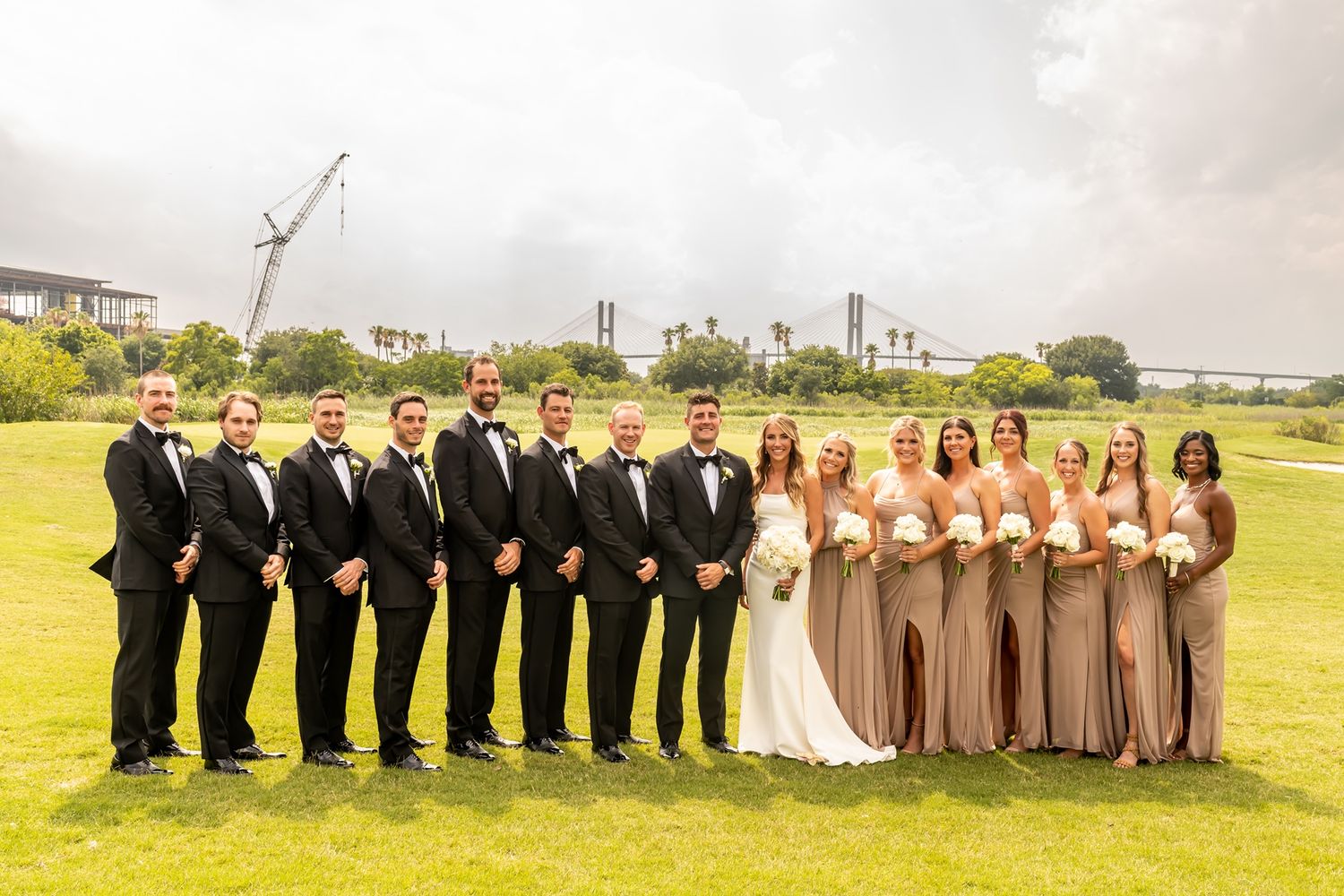 Wedding party lineup with bridesmaids in brown dresses and groomsmen in black suits posing outdoors on green lawn.