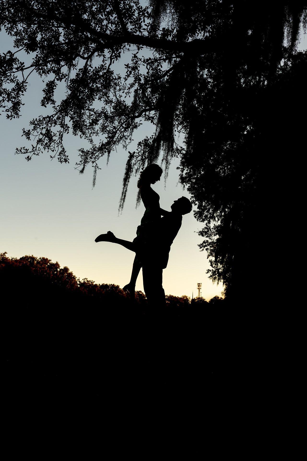 Silhouette of a person swinging from a tree branch against a dusky sunset sky.