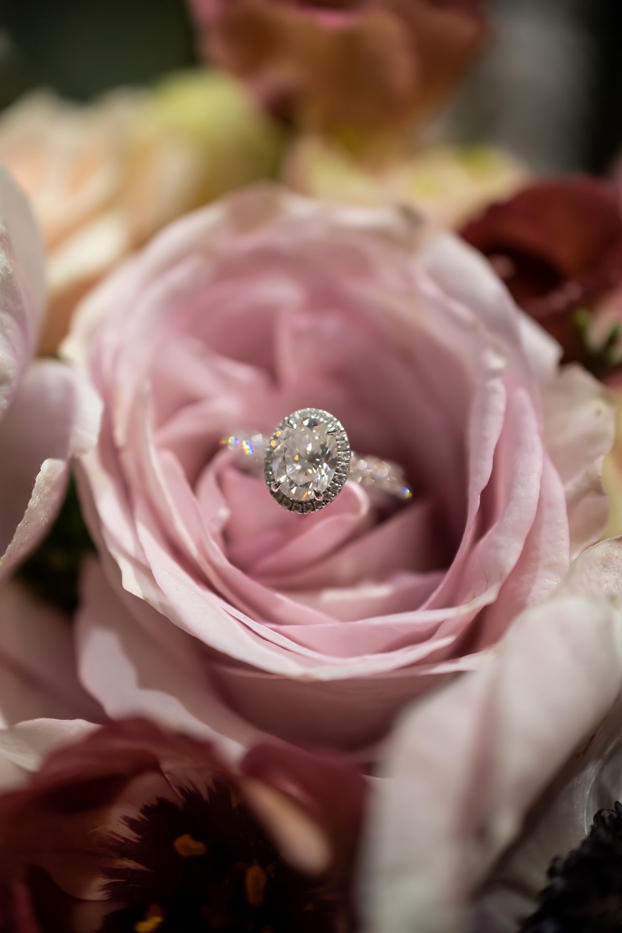 A sparkling diamond engagement ring nestled in the center of a delicate pink rose in soft focus.