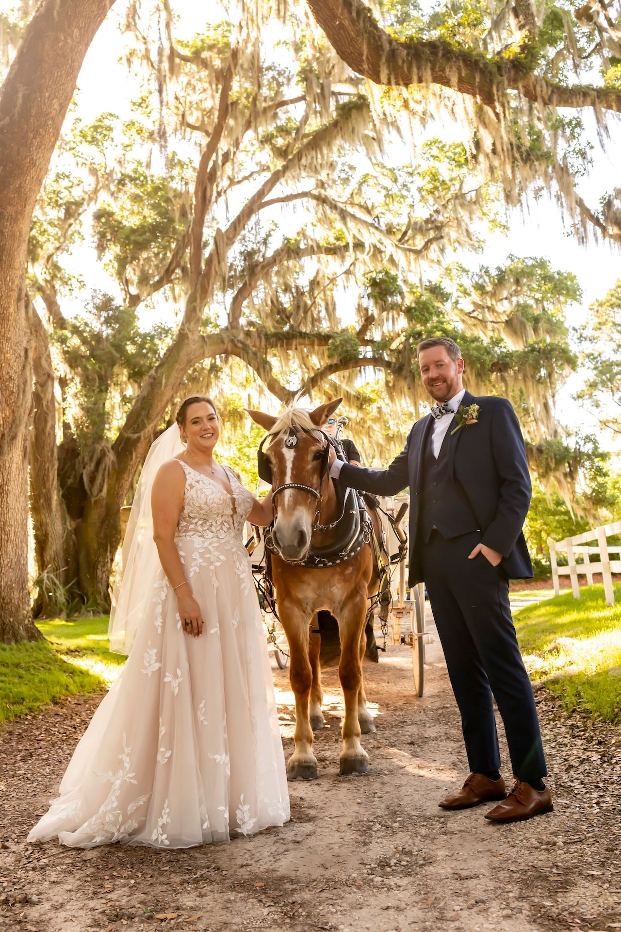 A wedding couple poses with a brown draft horse on a tree-lined path with trailing Spanish moss overhead.