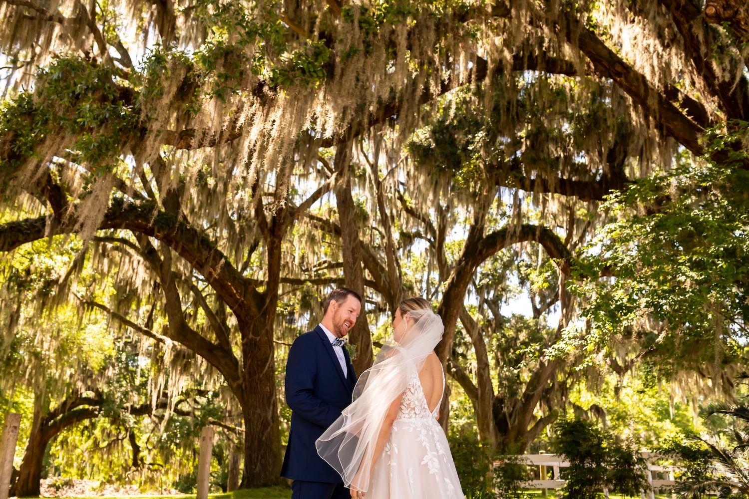 A couple shares a tender moment under majestic Spanish moss-draped oak trees in a sunlit Southern garden.