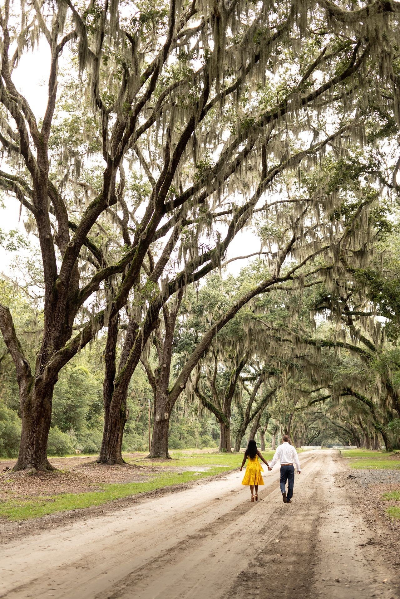 A couple strolls down a scenic dirt road lined with majestic live oak trees draped in Spanish moss in the South.