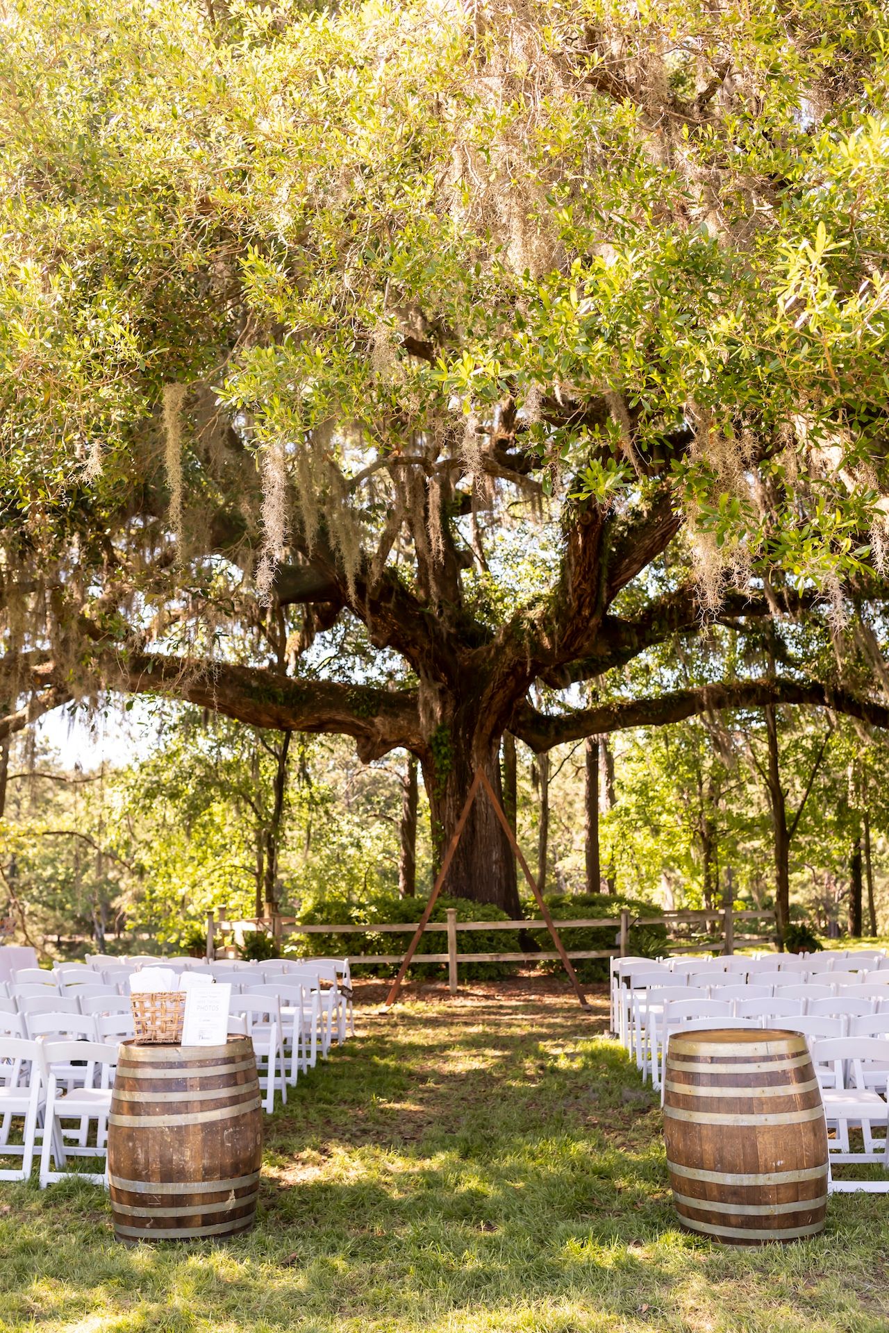 White wedding chairs and wooden wine barrels arranged under majestic oak trees draped with Spanish moss for an outdoor ceremony.