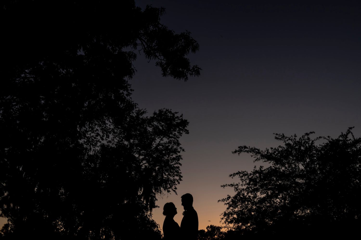 Silhouettes of two figures stand beneath trees against a darkening twilight sky.