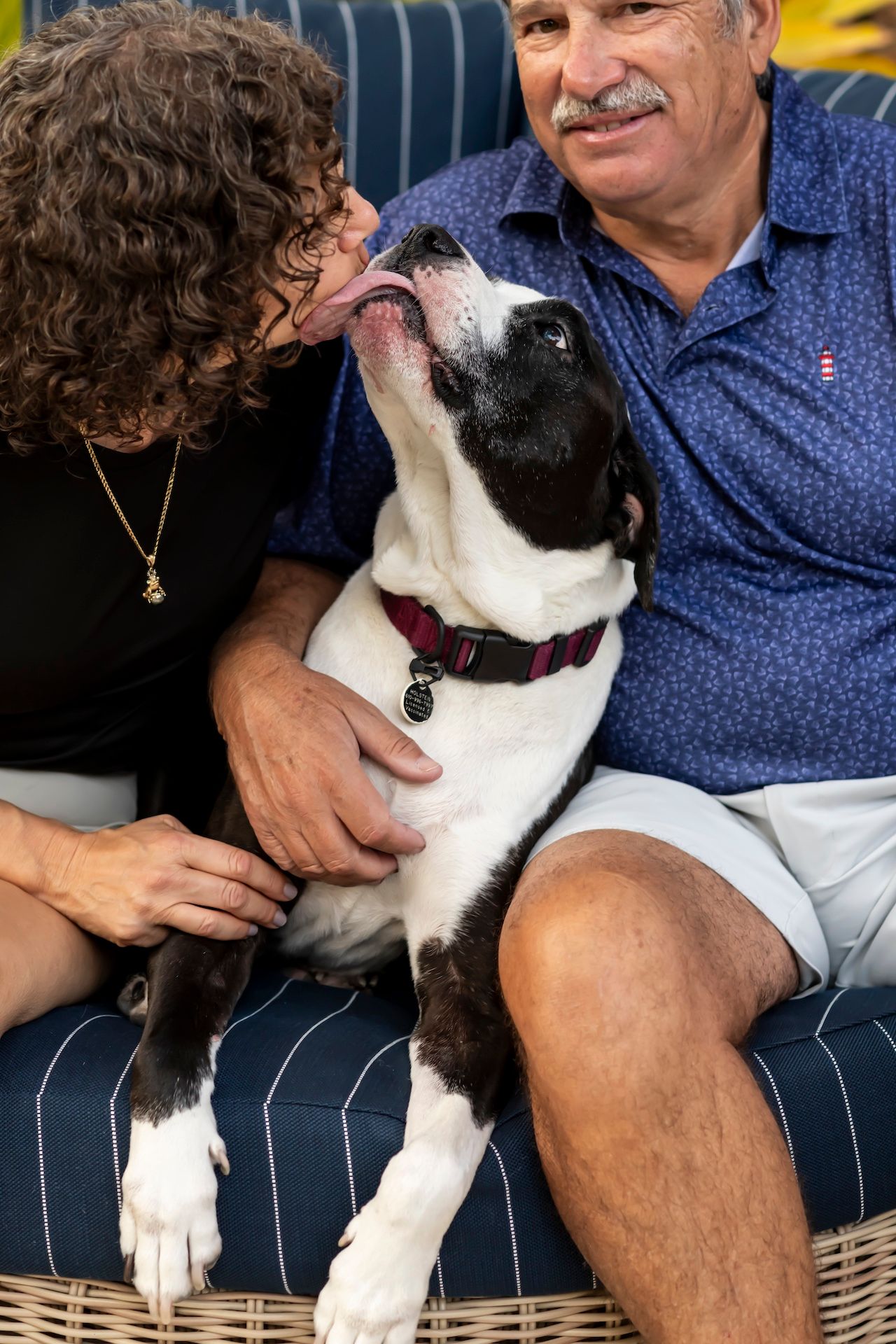 Black and white dog leans up to give a kiss while seated with owners on a striped couch.