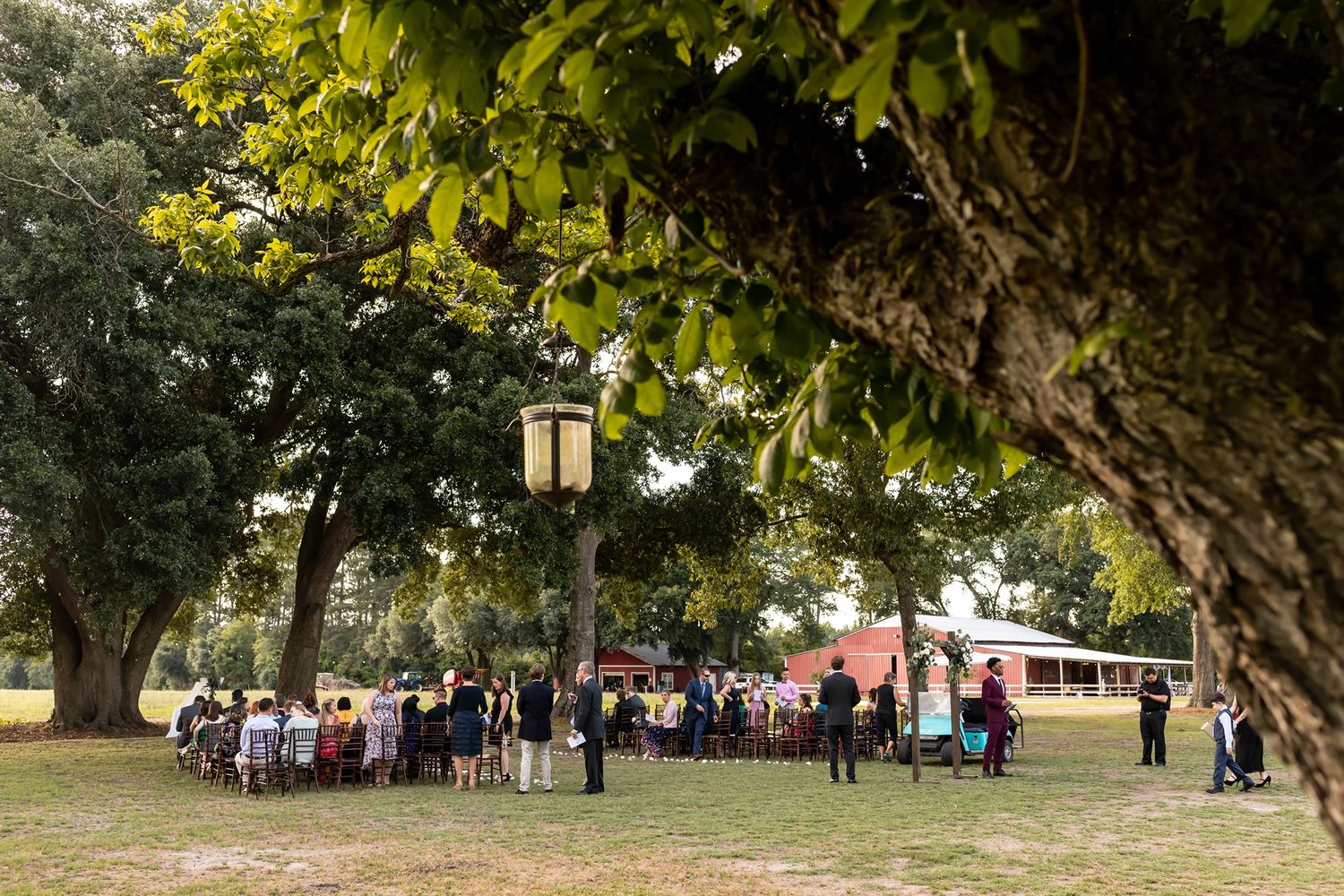 Guests gather under large shade trees with hanging lanterns during an outdoor event in a park-like setting.